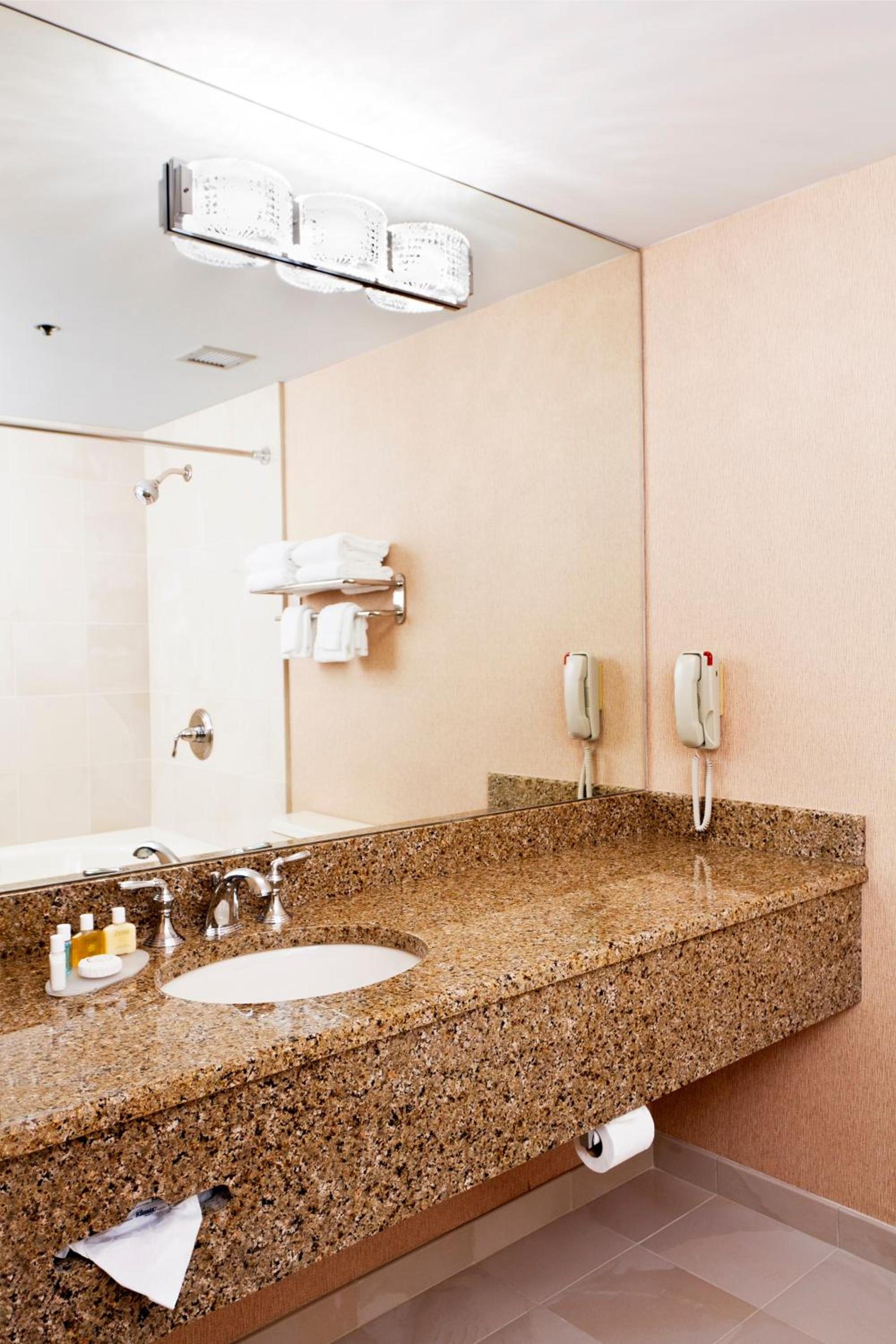 Ann Arbor Regent Hotel and Suites photo 25
