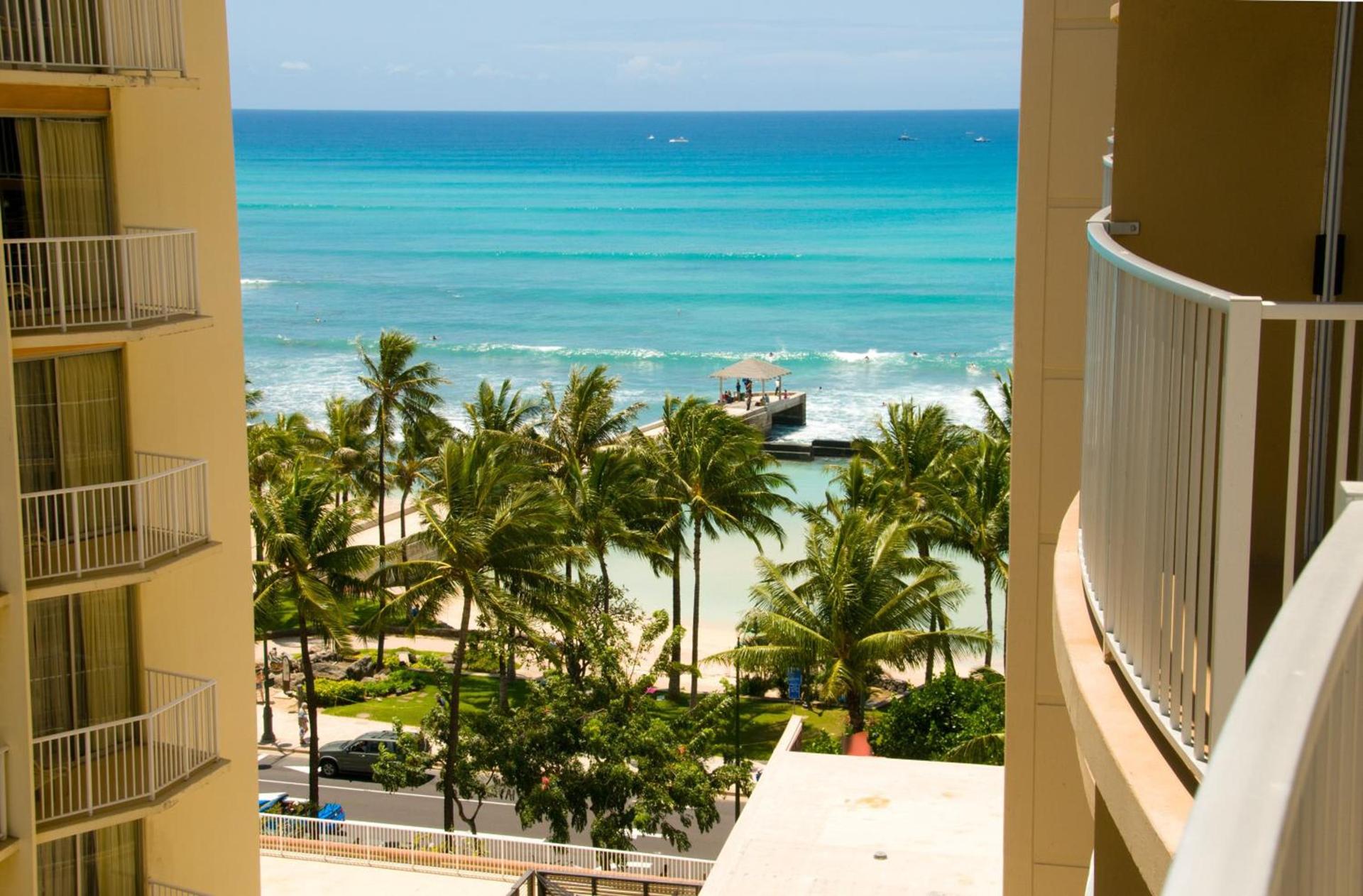 The Twin Fin Hotel photo 21