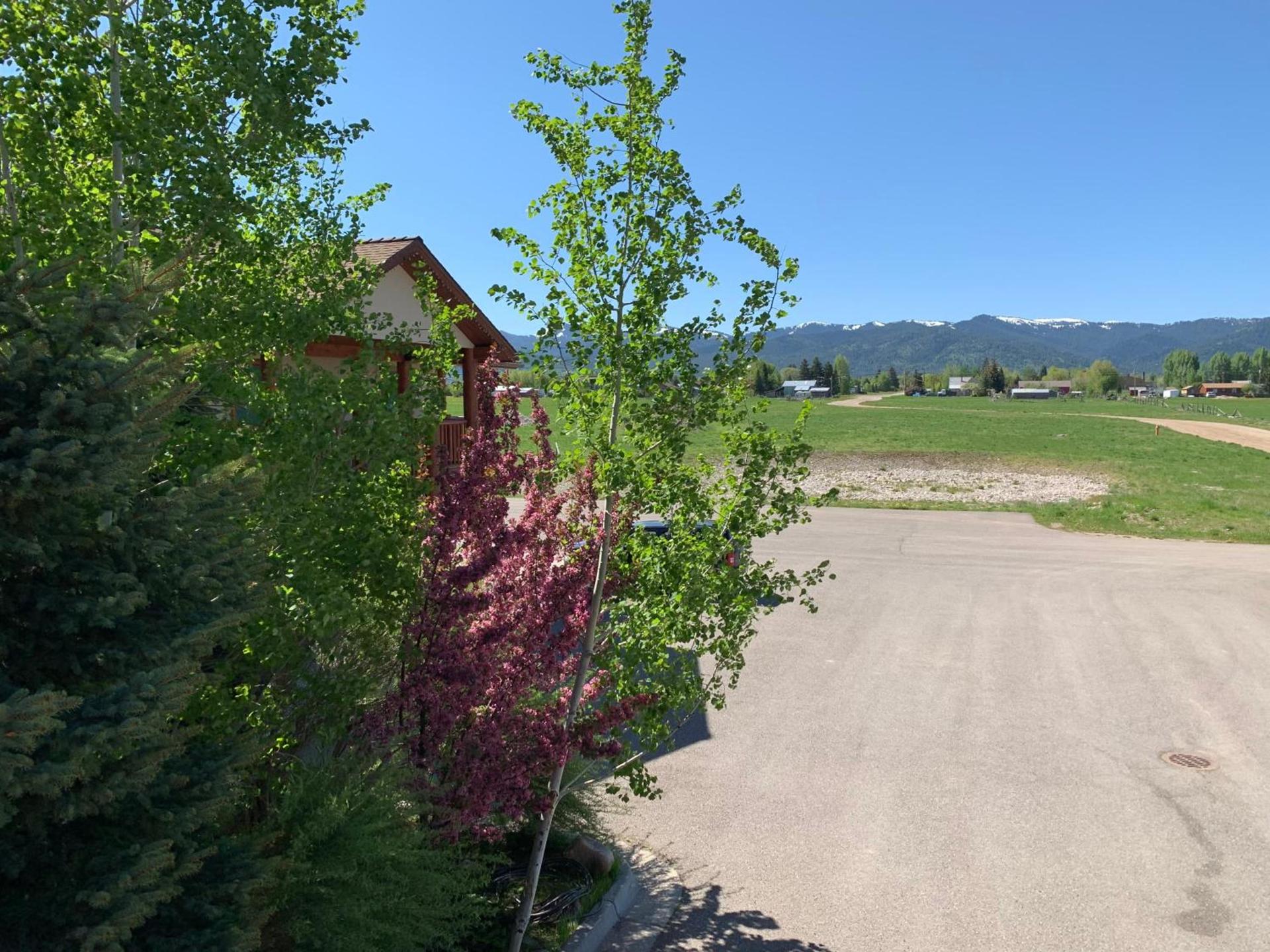 Teton Valley Motel photo 11