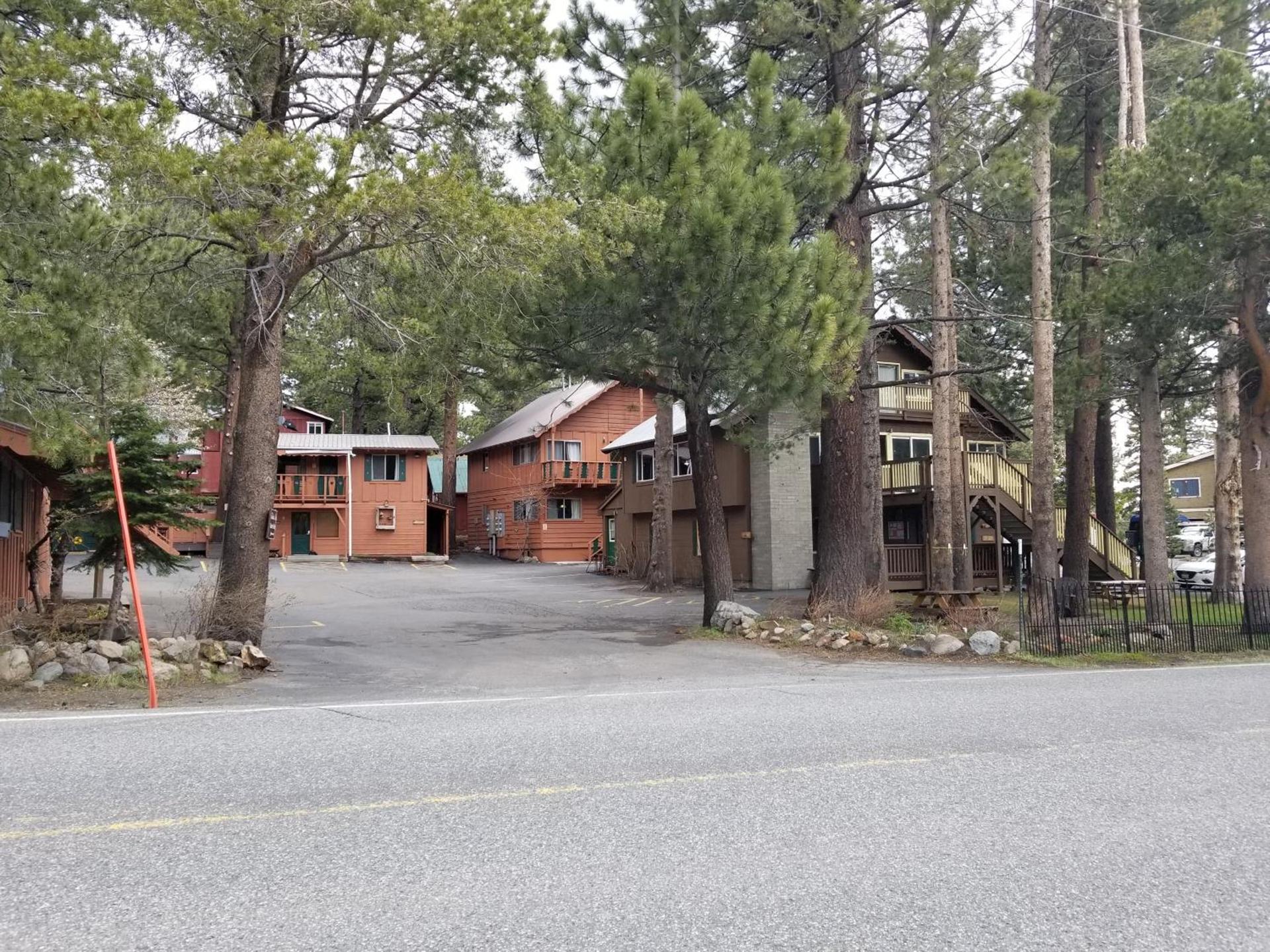 Edelweiss Lodge photo 2