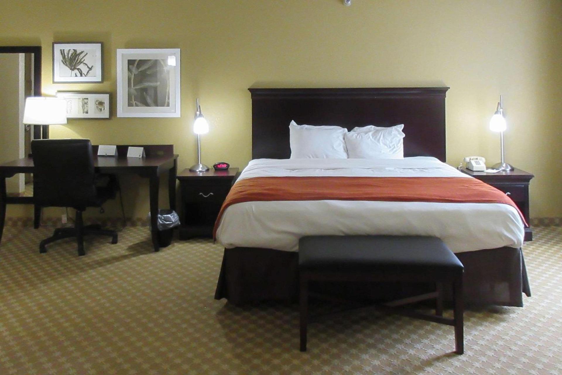 Quality Inn & Suites Alexandria photo 5