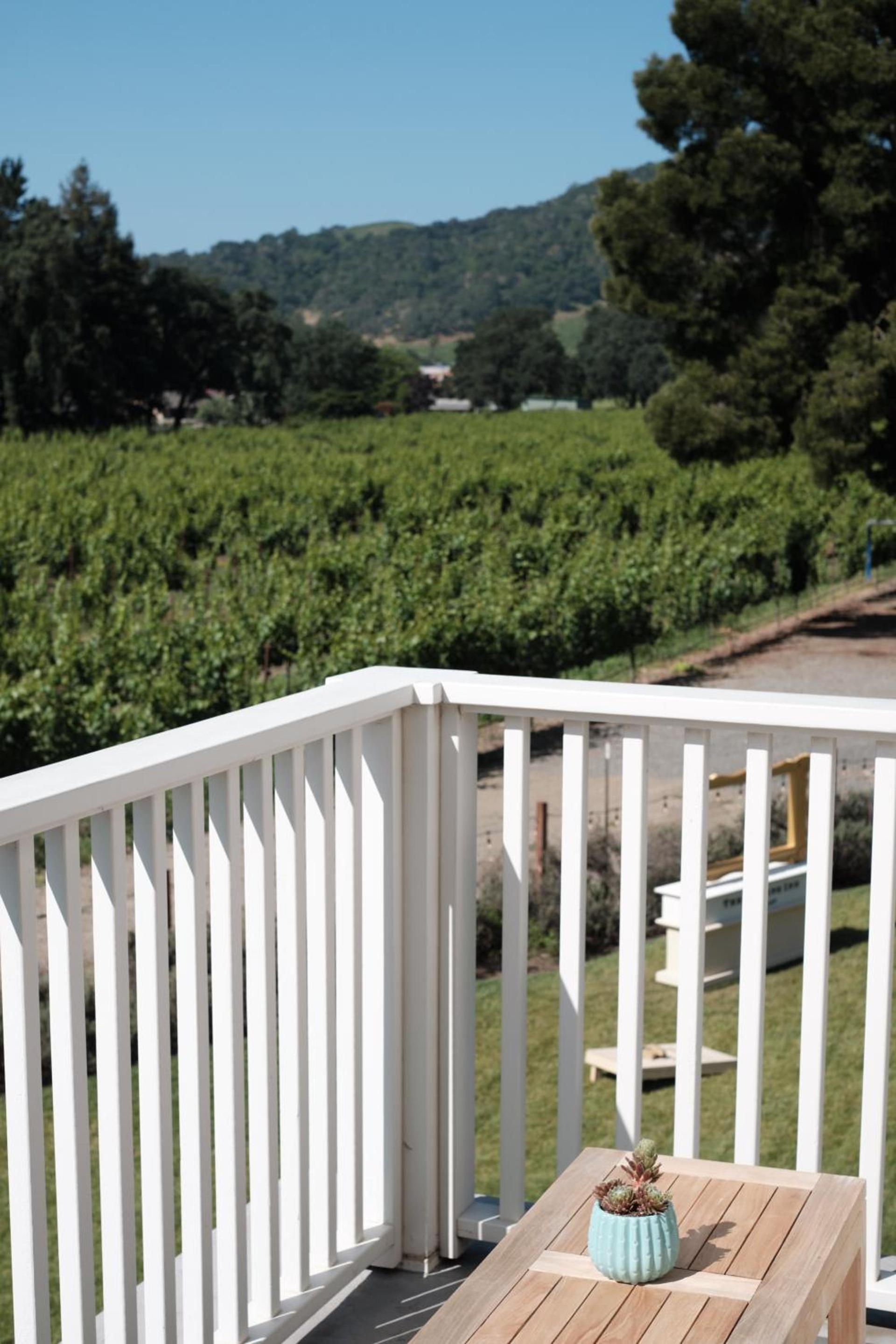 The Setting Inn Napa Valley photo 16