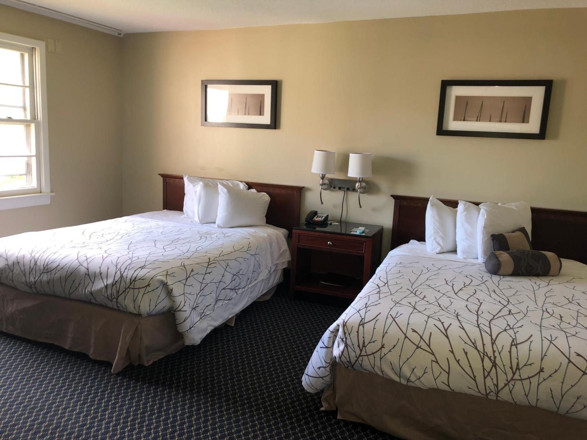 The Black Mountain Inn photo 3