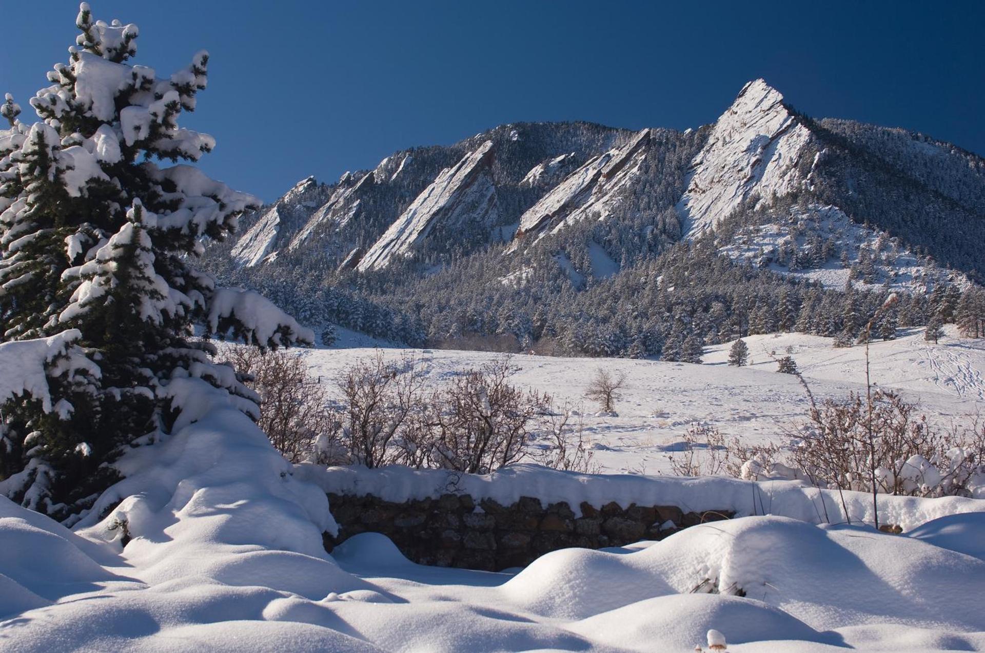 Colorado Chautauqua Cottages photo 36