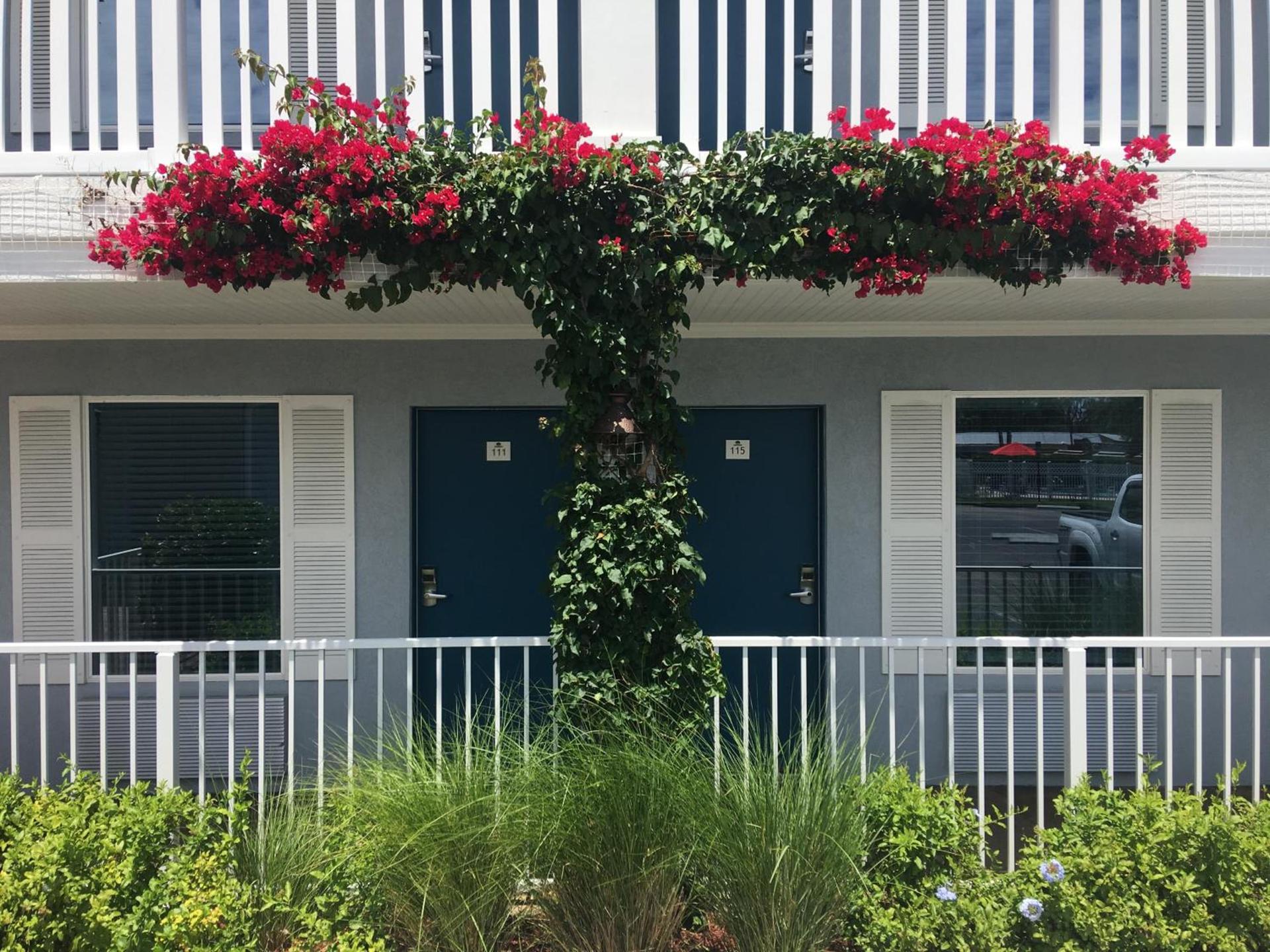Quality Inn St Augustine Historic District Area photo 15