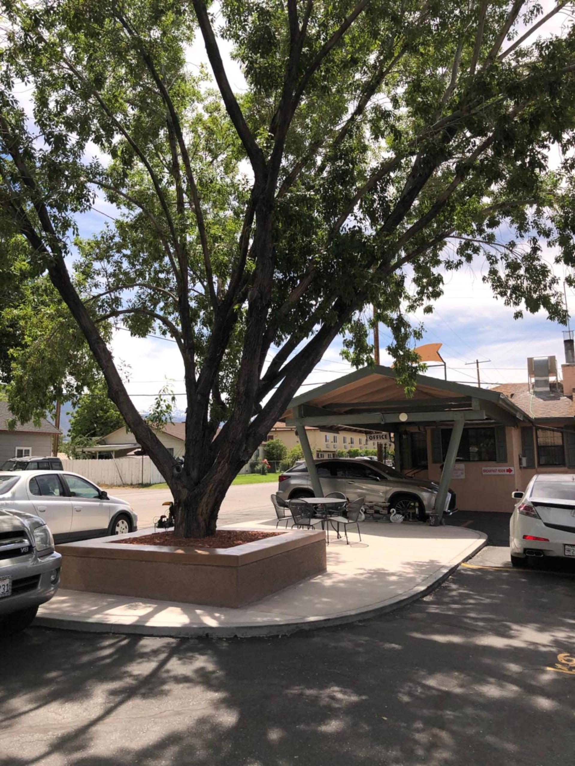 Bishop Elms Motel photo 23