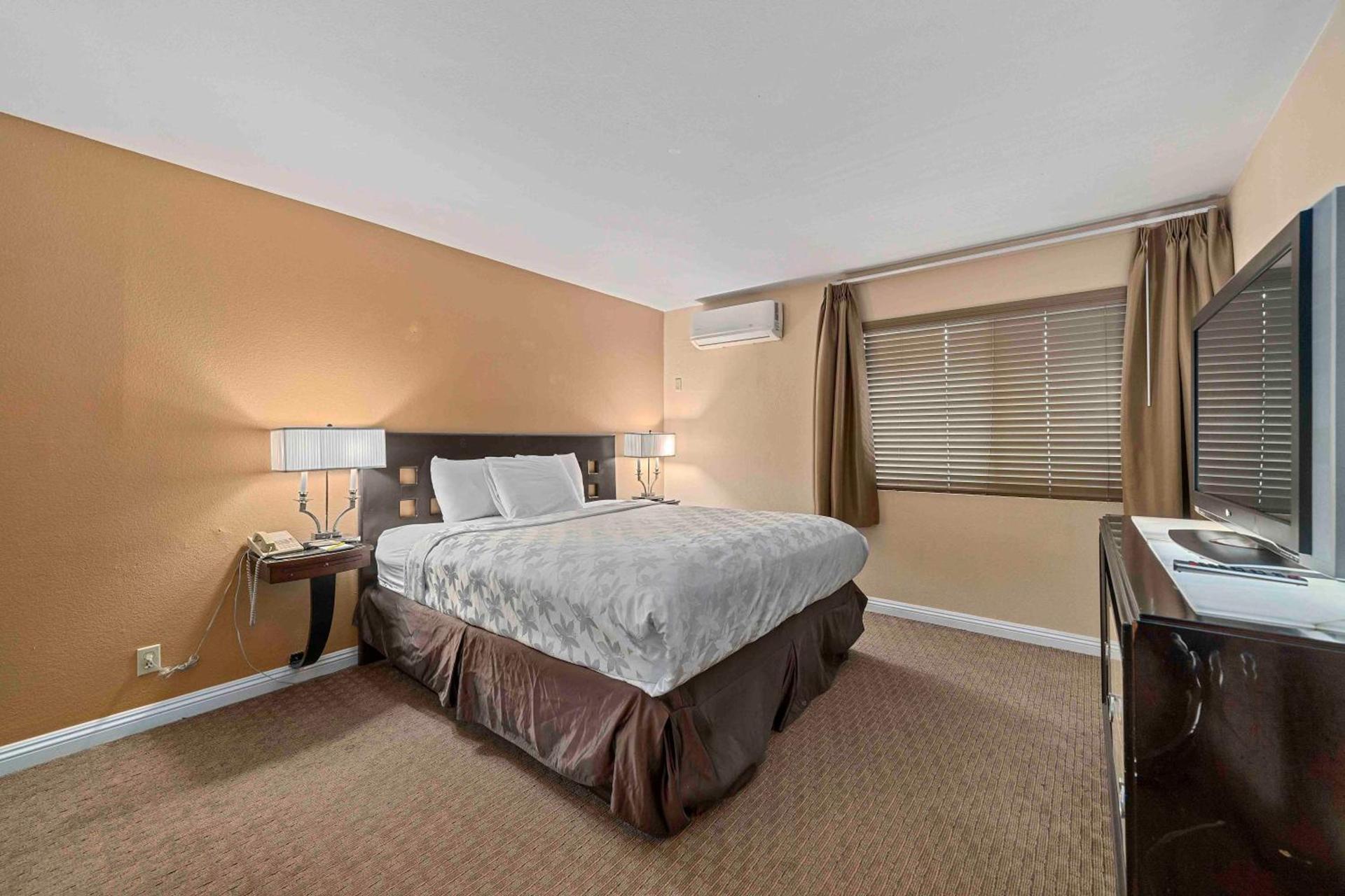Lemon Tree Hotel and Suites photo 22