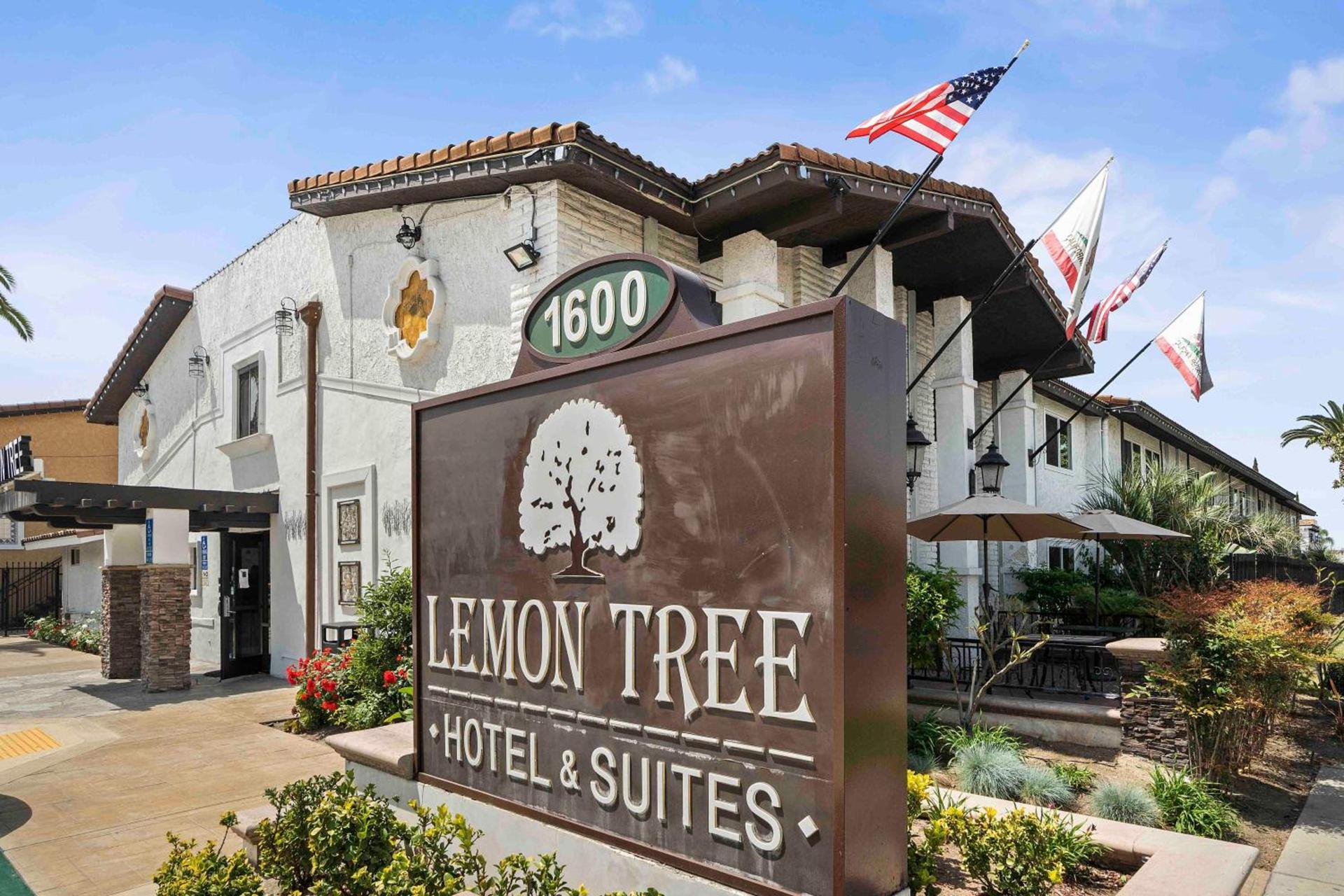 Lemon Tree Hotel and Suites photo 1