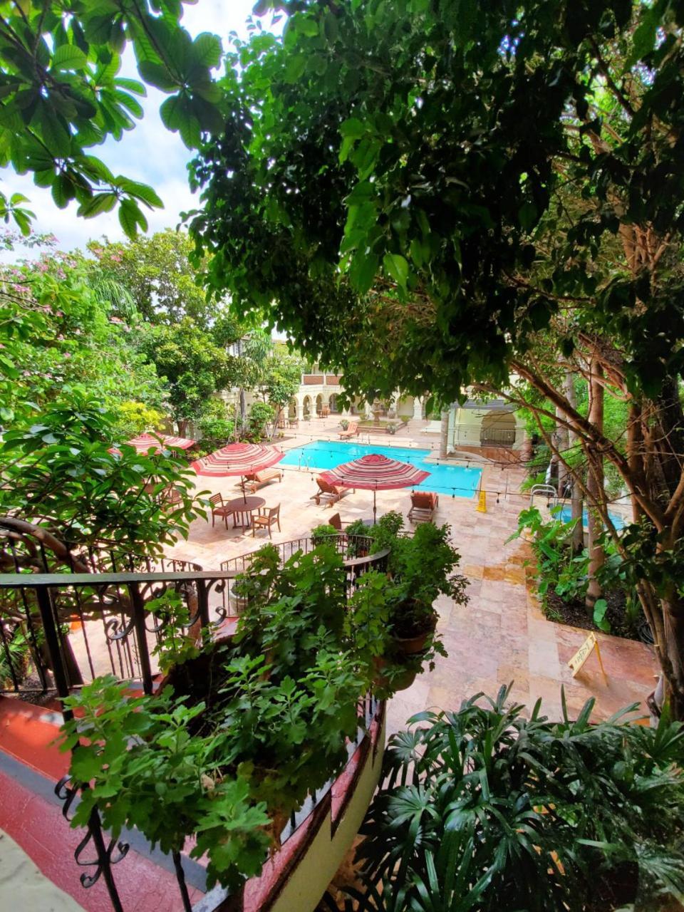 La Posada Hotel photo 19
