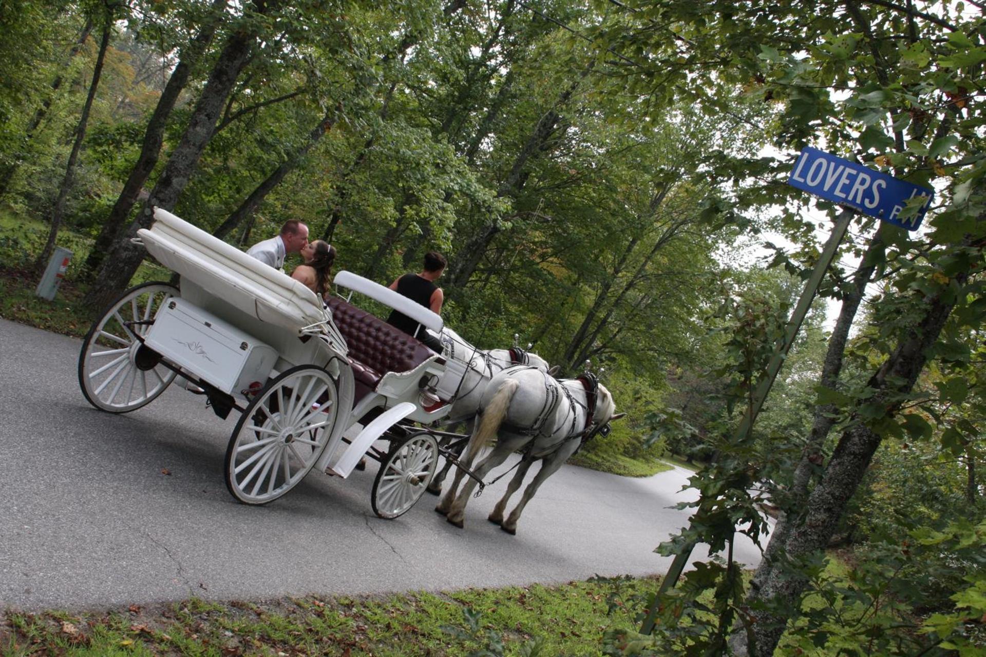 Forrest Hills Mountain Resort photo 5