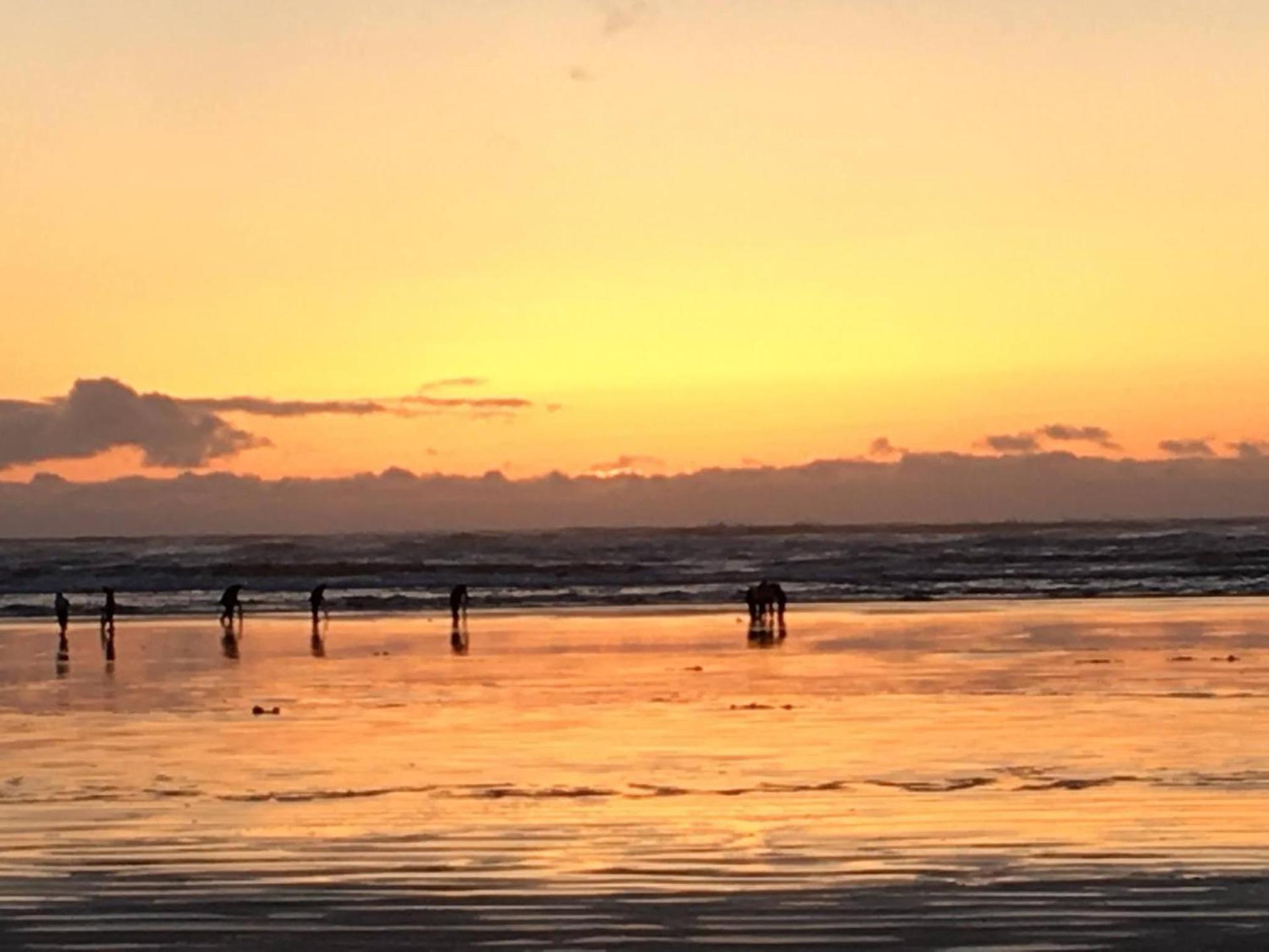 The Lowtide Motel photo 22
