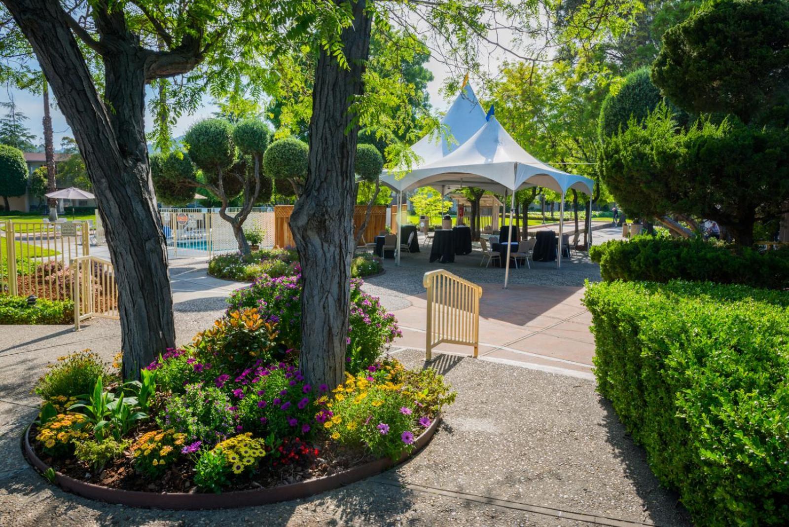 Los Gatos Lodge photo 15
