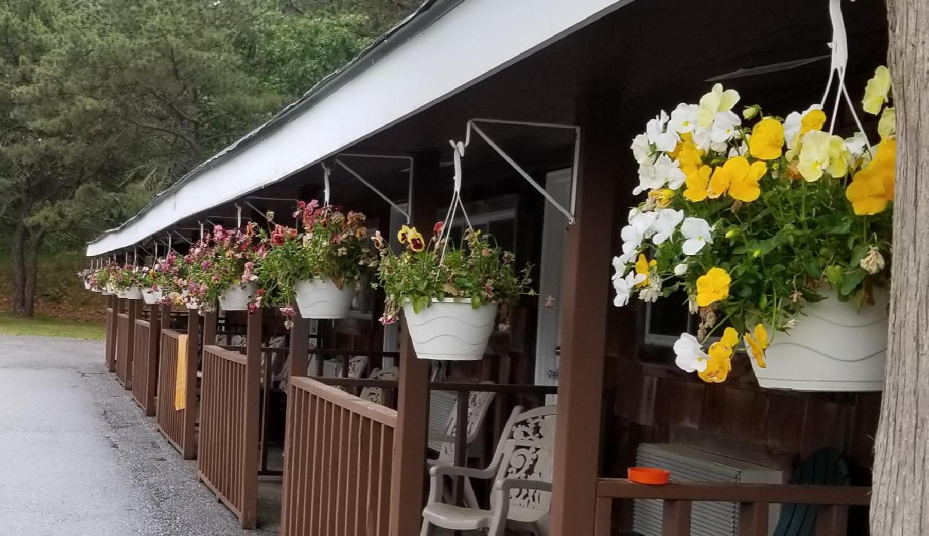 Sea Haven Resort Motel photo 2