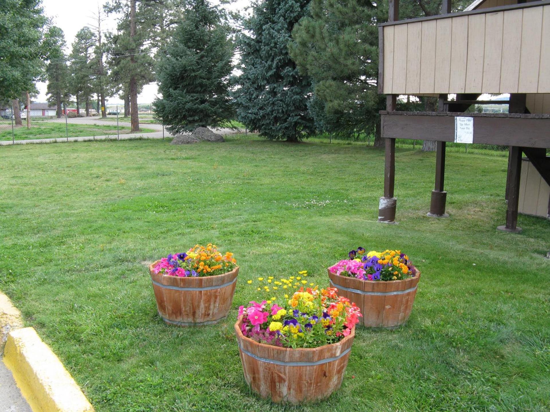 Branding Iron Motel photo 17