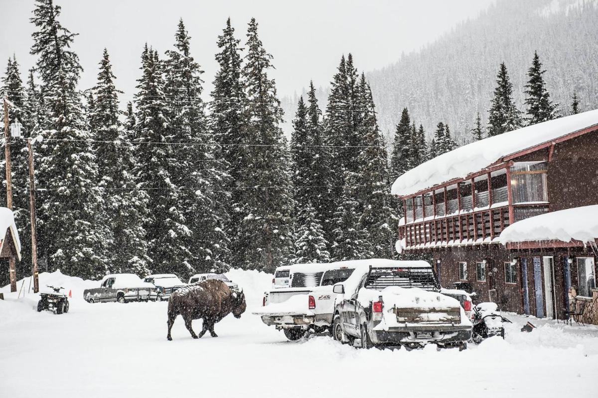 High Country Motel and Cabins photo 42