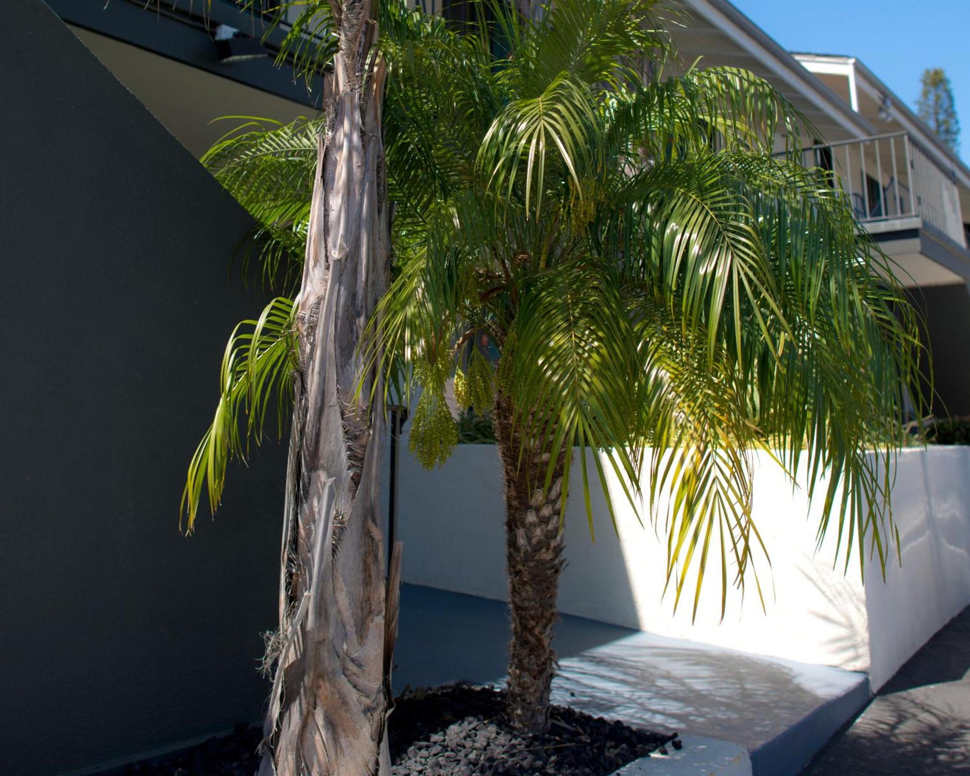 Orange Tree Inn photo 16