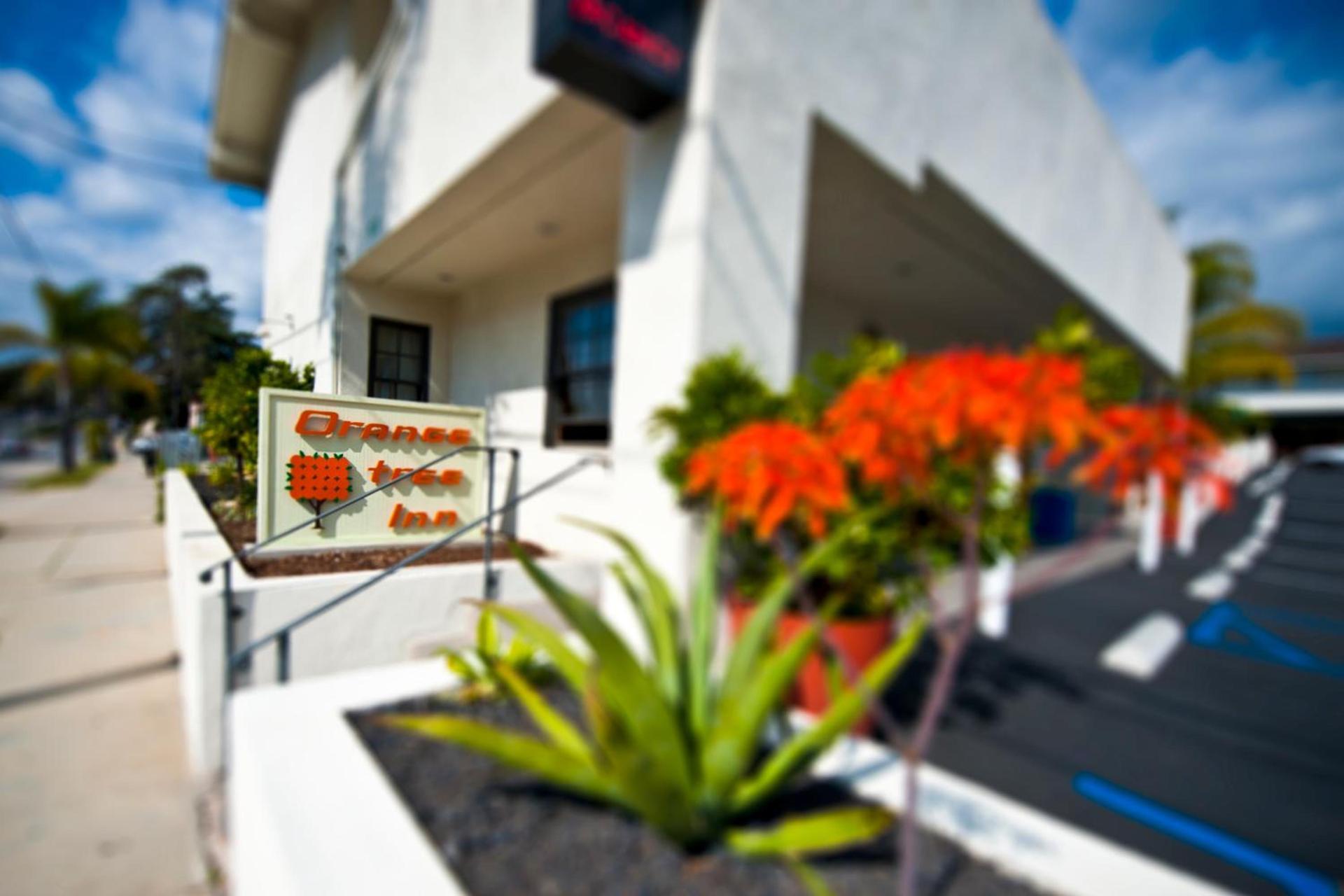 Orange Tree Inn photo 19