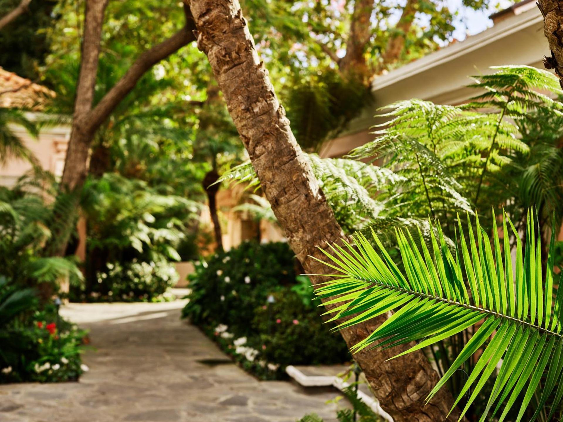 Hotel Bel-Air - Dorchester Collection photo 80