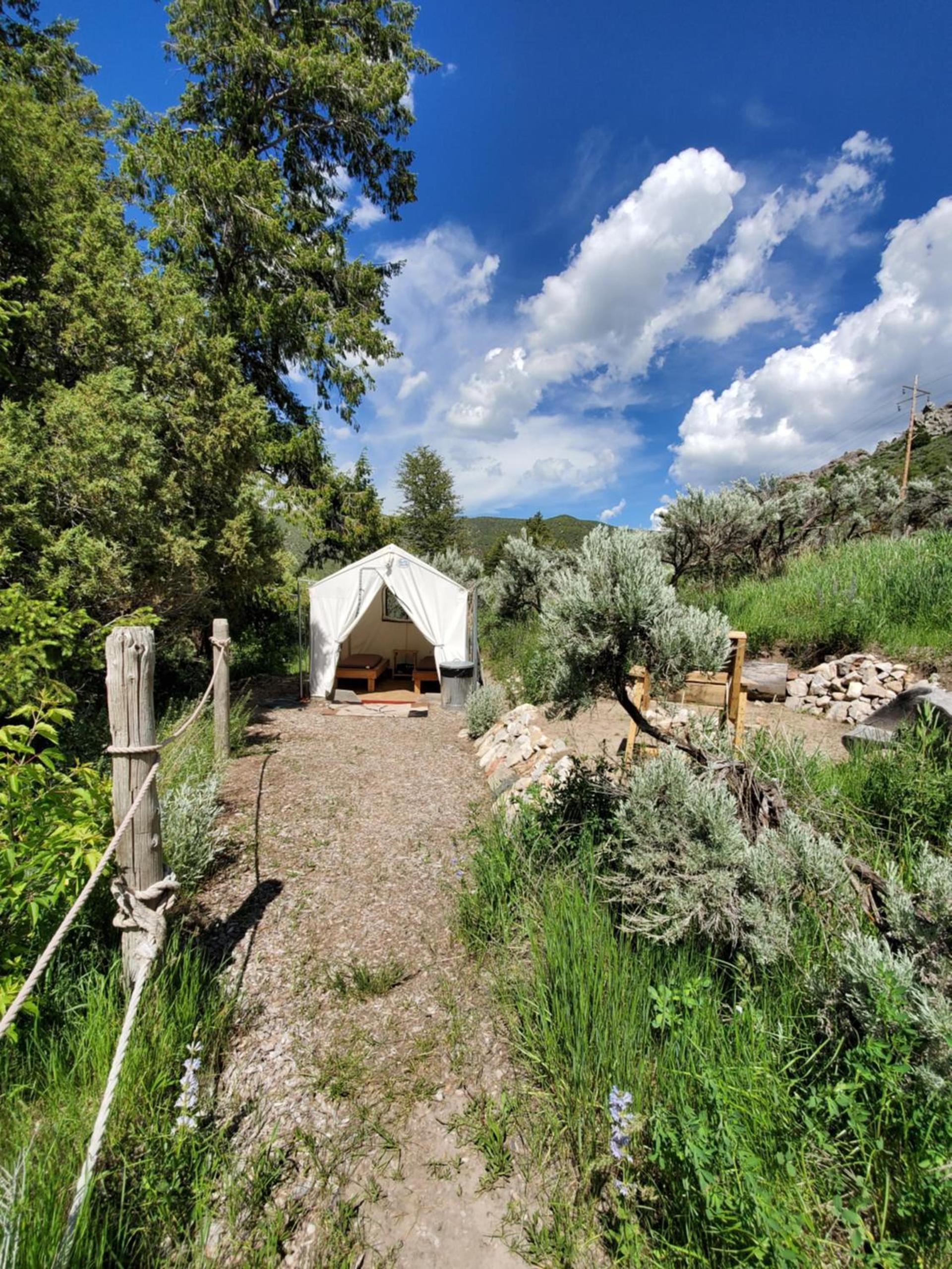 Bristol Cabins photo 19