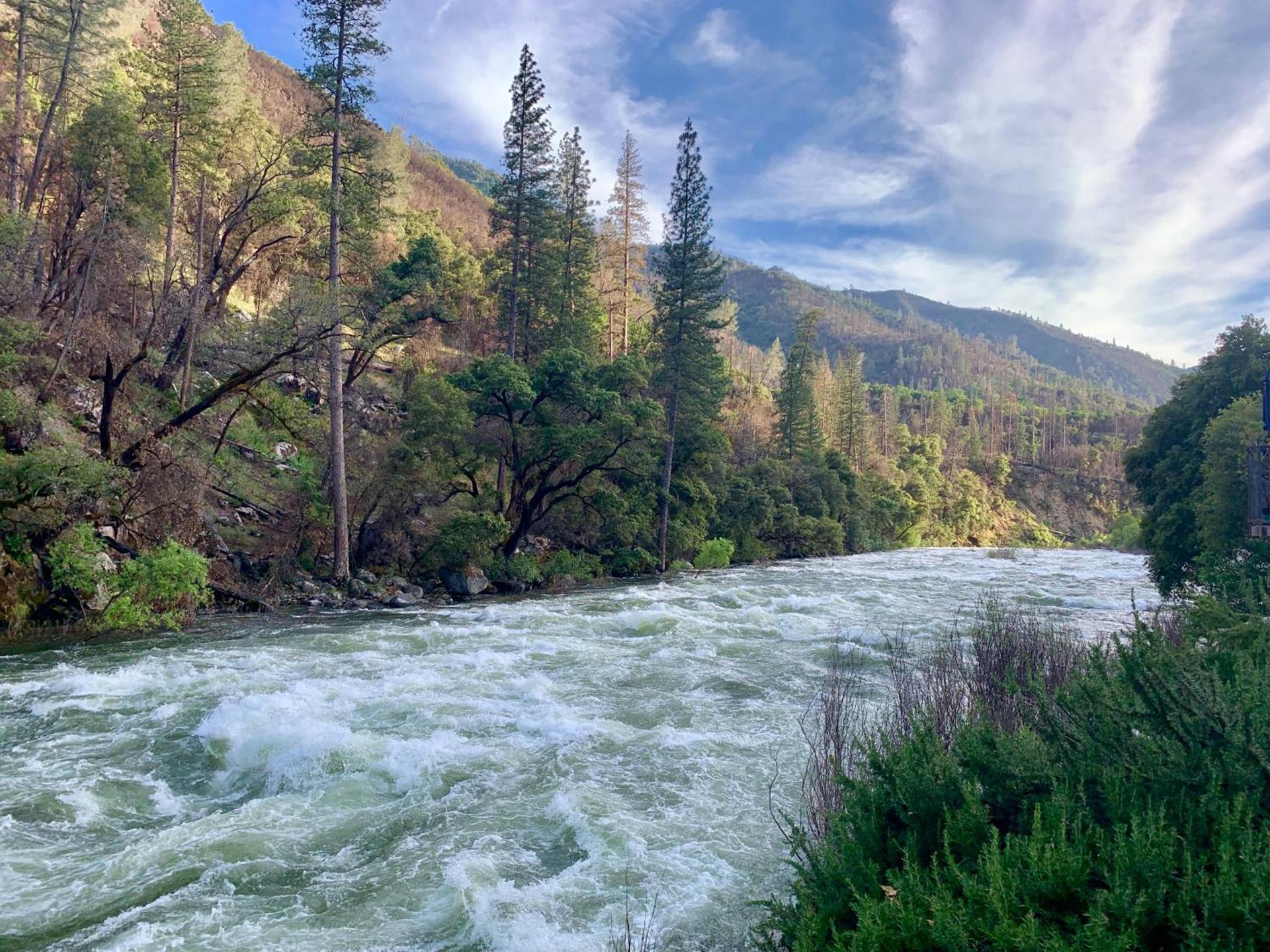 Yosemite View Lodge photo 62