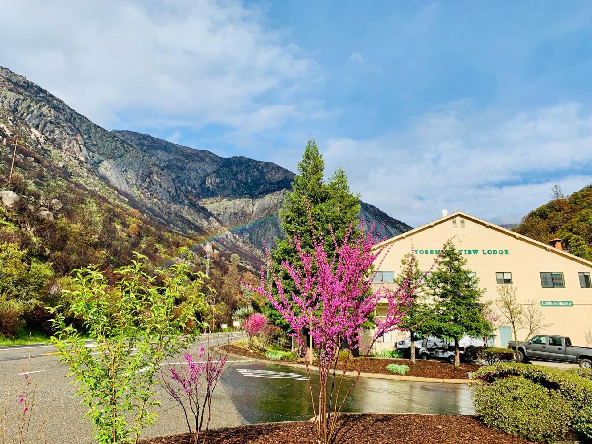 Yosemite View Lodge photo 34