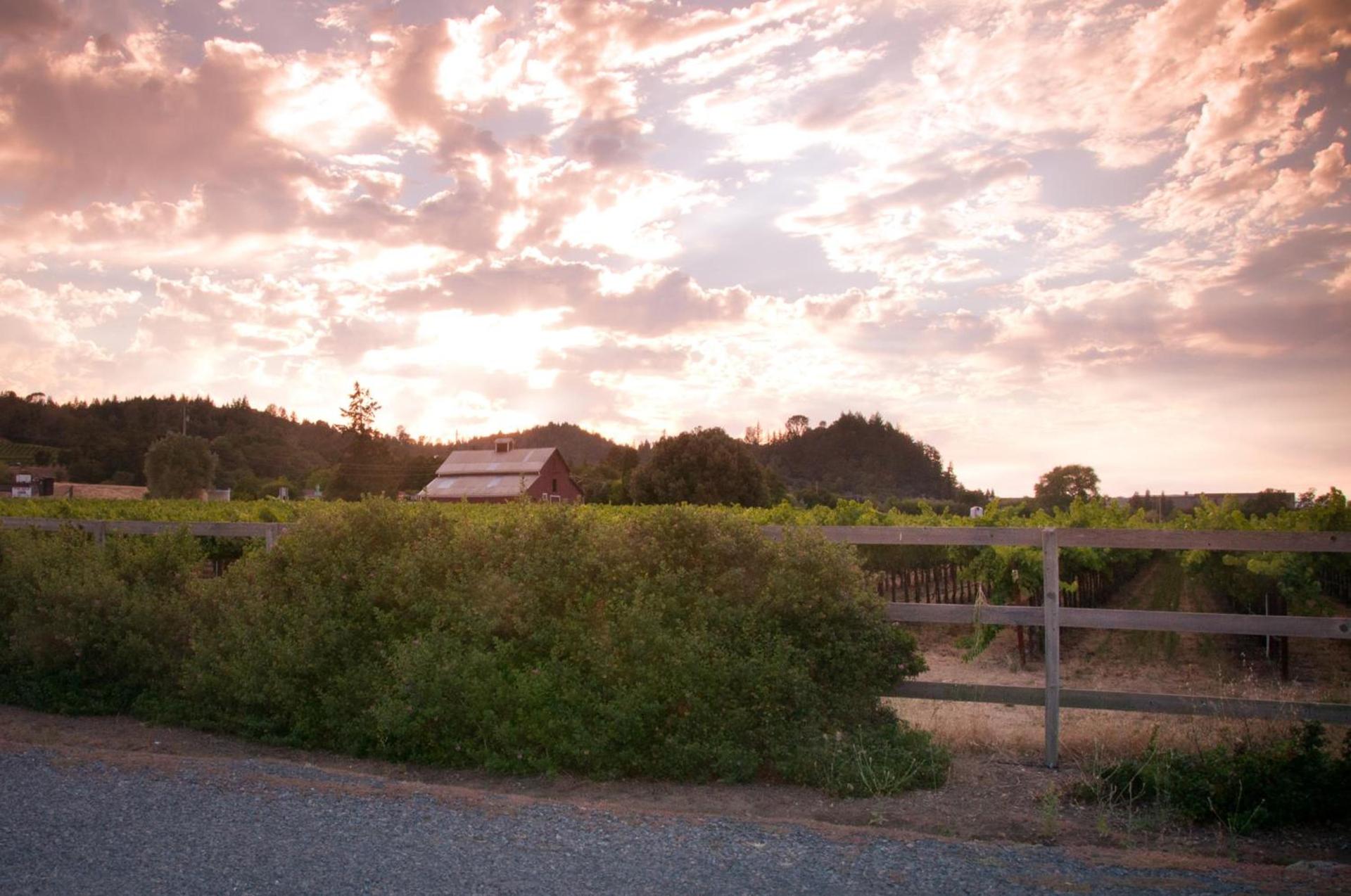 Geyserville Inn photo 23