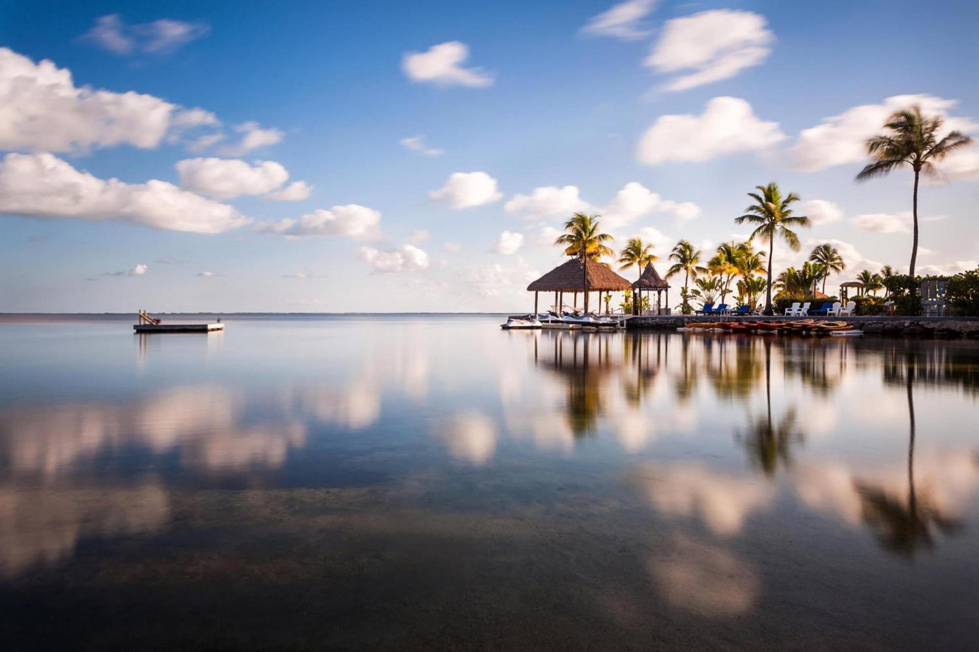 Reefhouse Resort and Marina photo 18