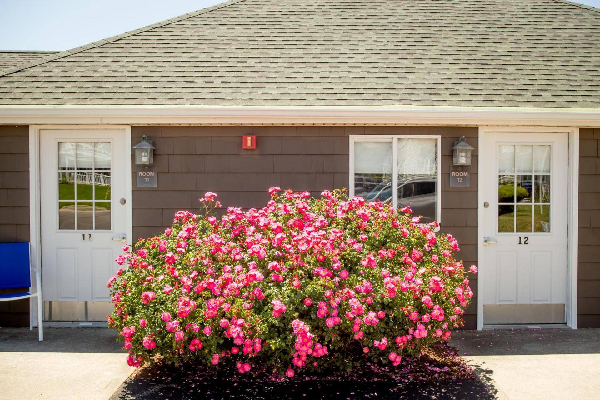 The Shore House photo 20