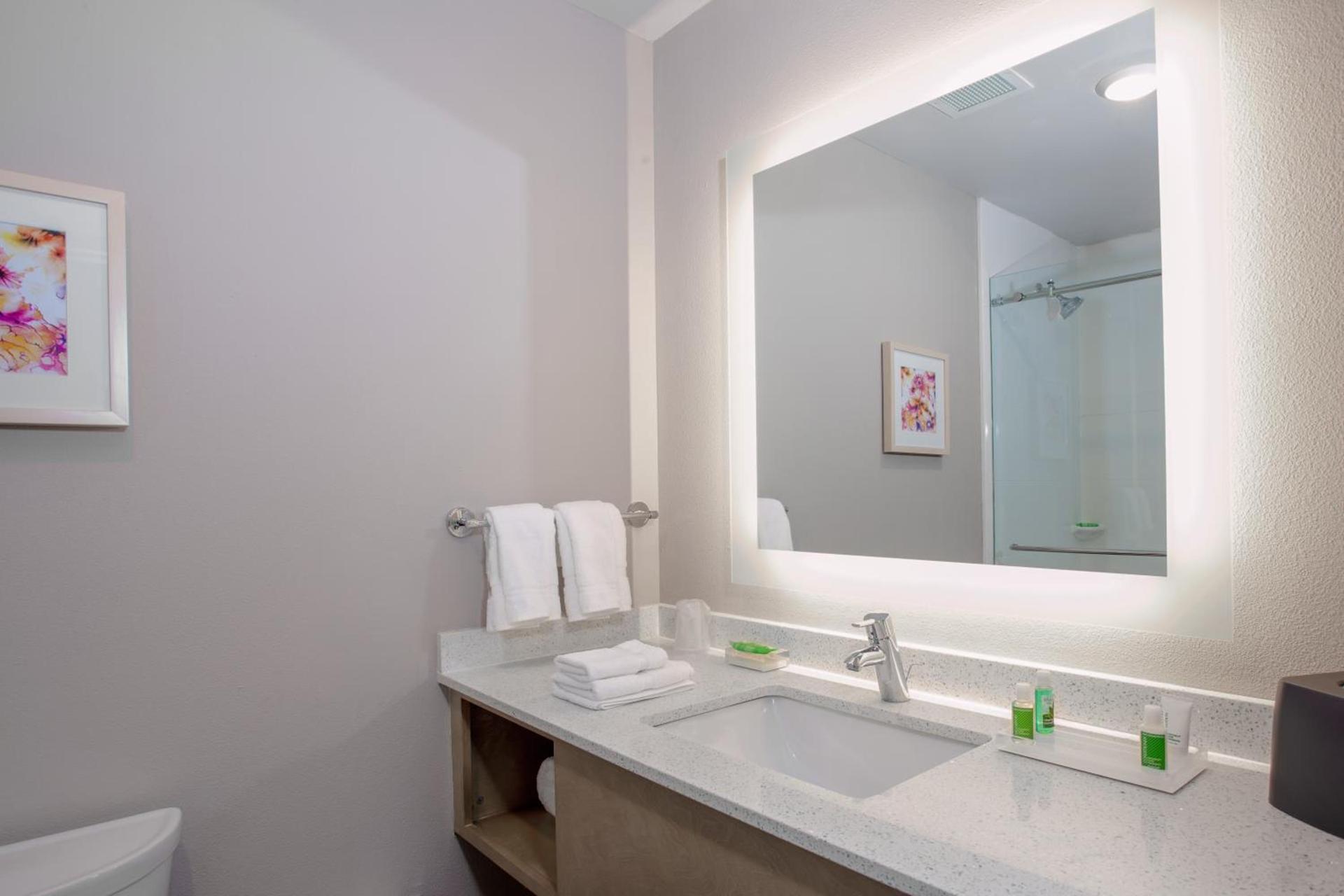 Holiday Inn - Tallahassee E Capitol - Univ by IHG photo 2