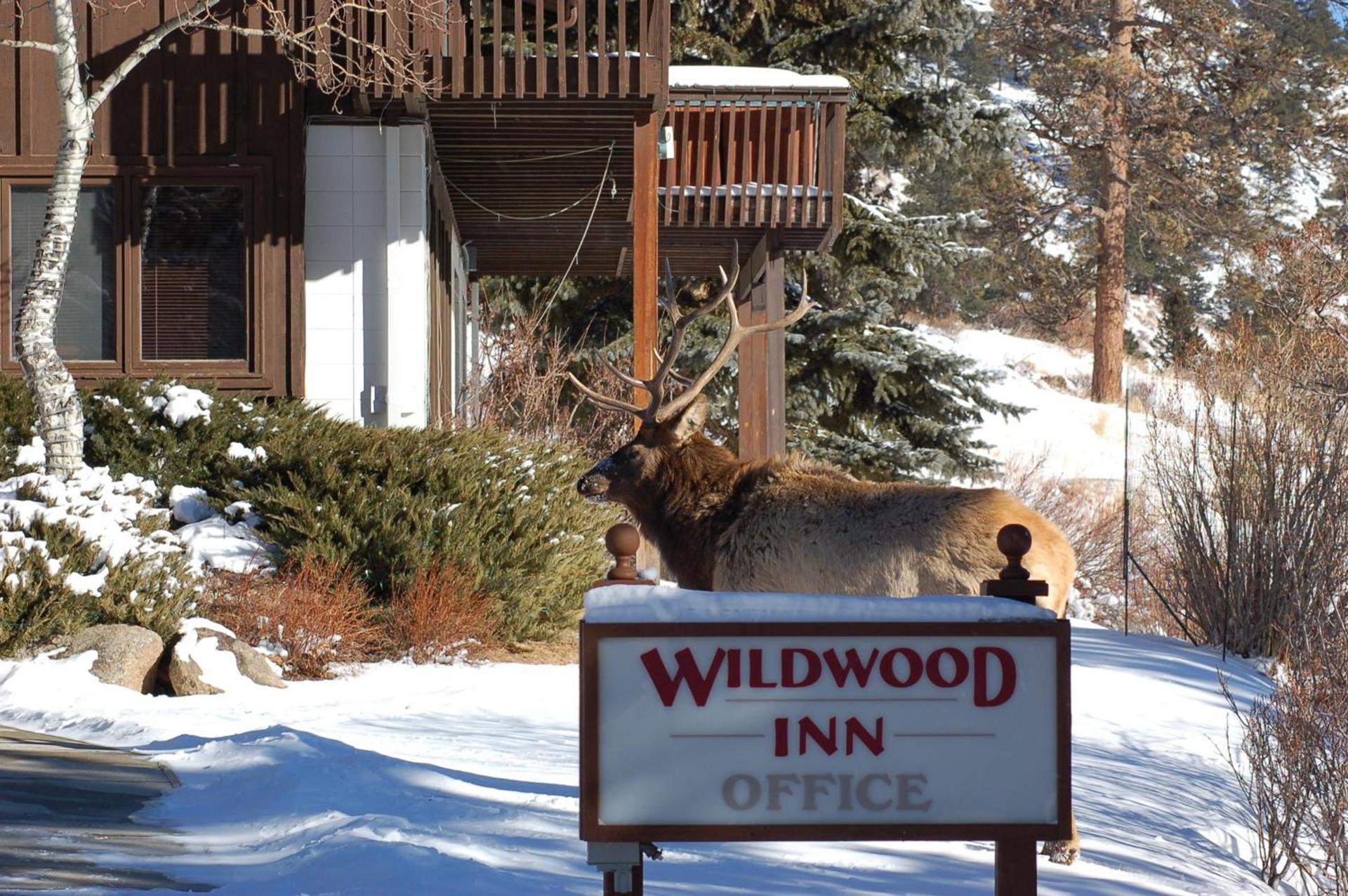 Wildwood Inn photo 96