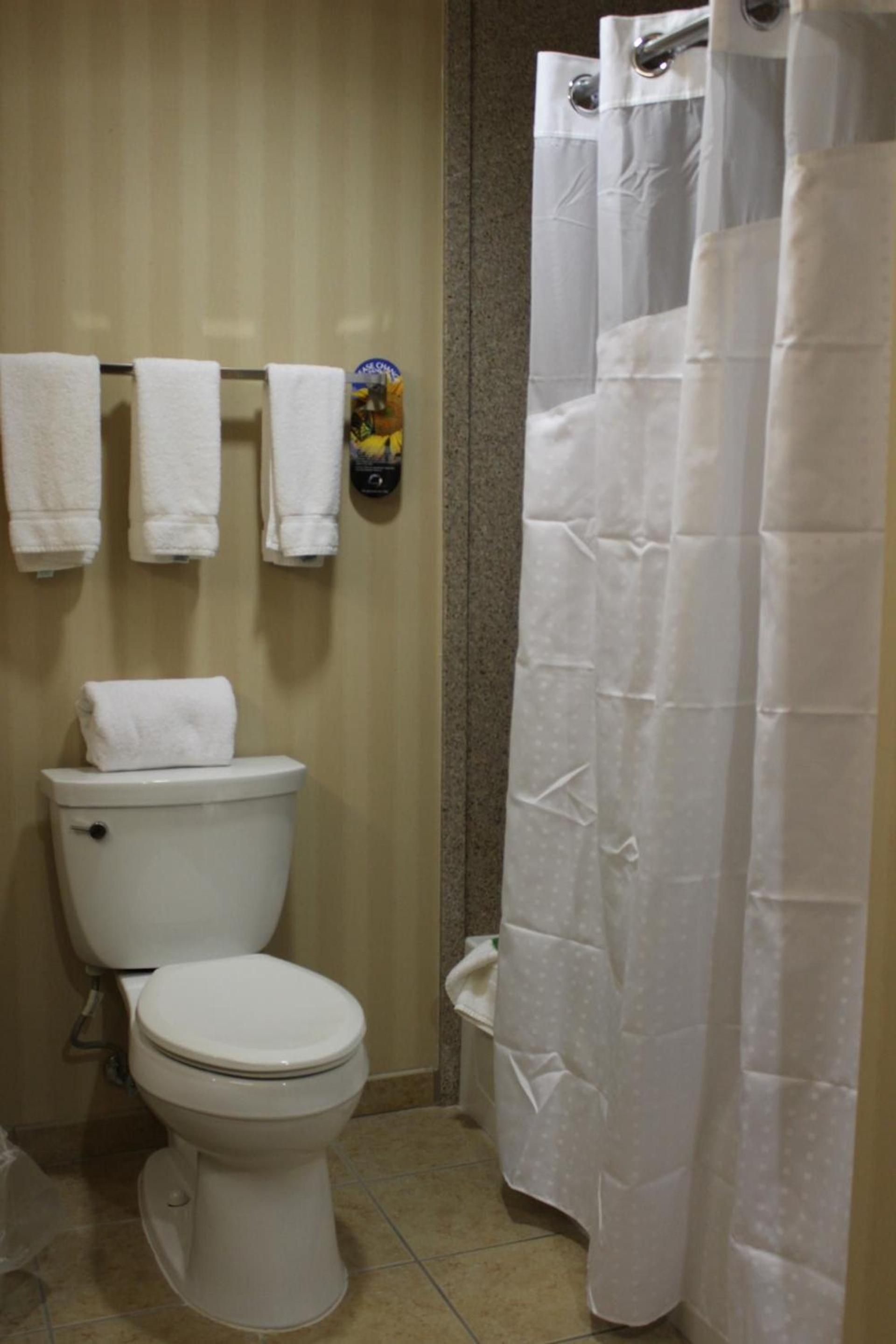 Holiday Inn Express Tehachapi by IHG photo 47