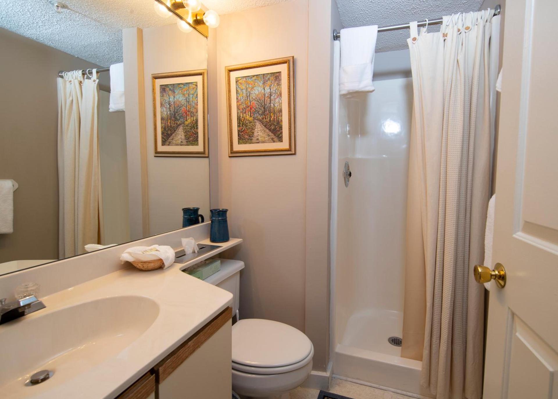 Winterplace at Okemo, A Vail Resorts Property photo 28