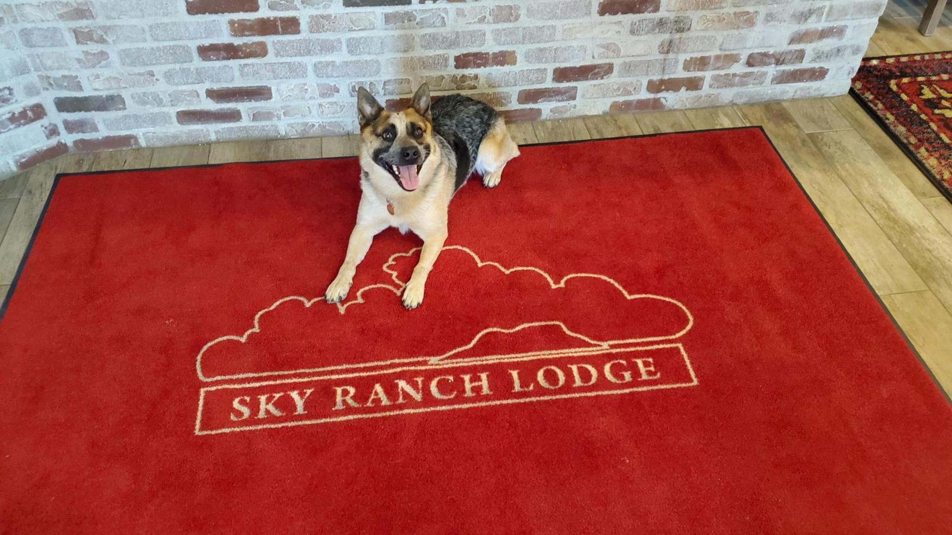 Sky Ranch Lodge photo 19