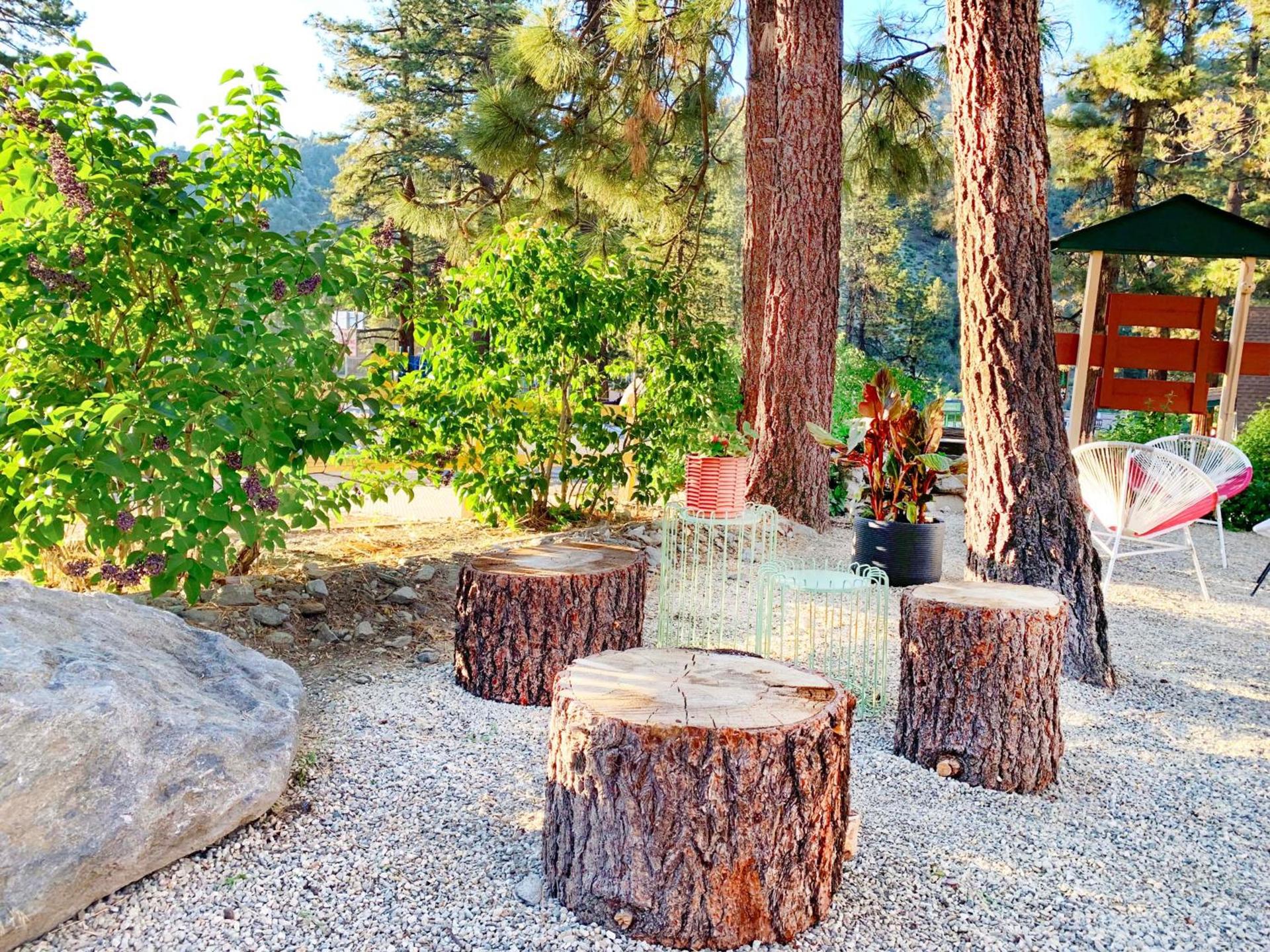 Grand Pine Cabins photo 49