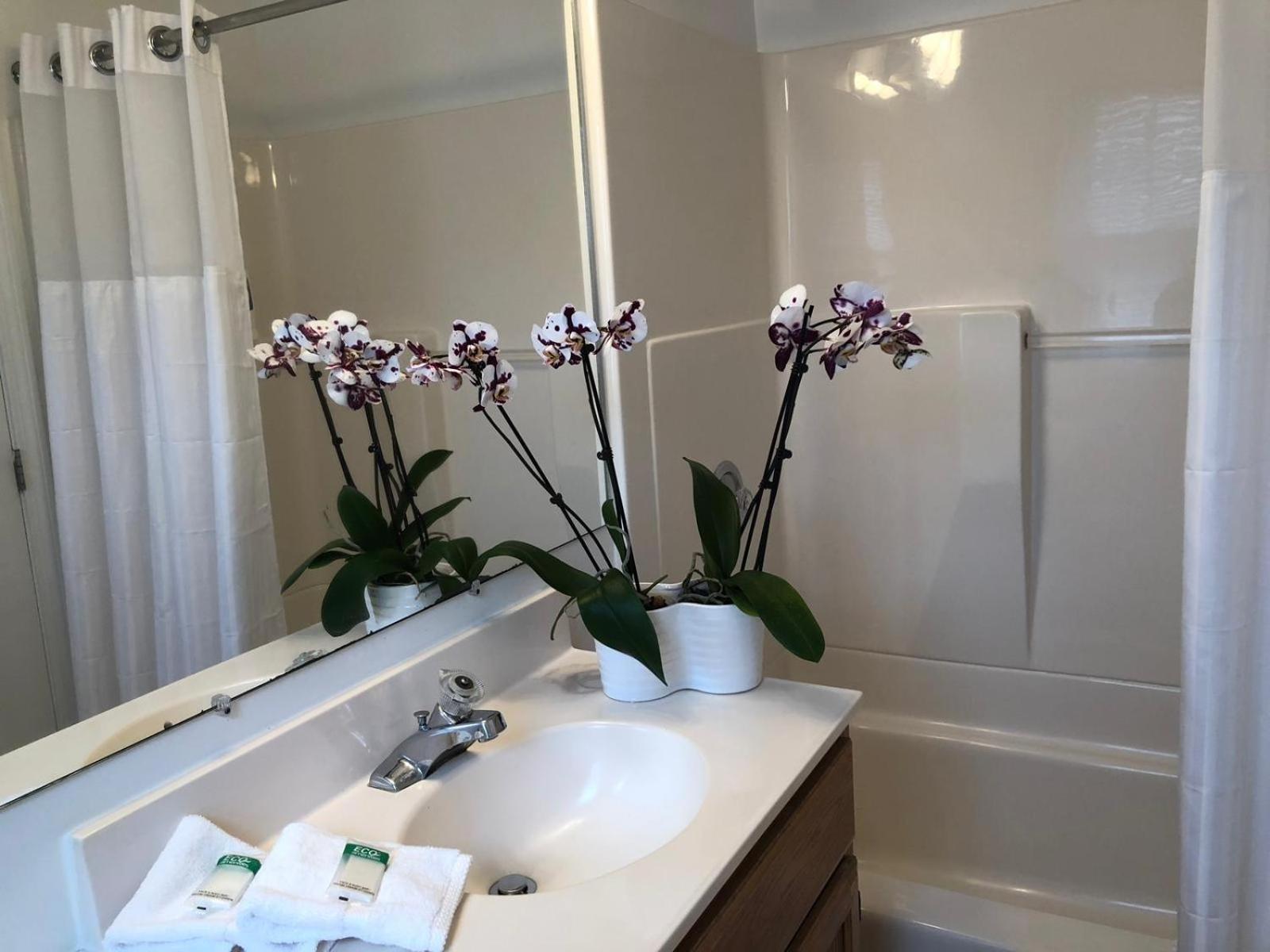 Hyannis Inn photo 21