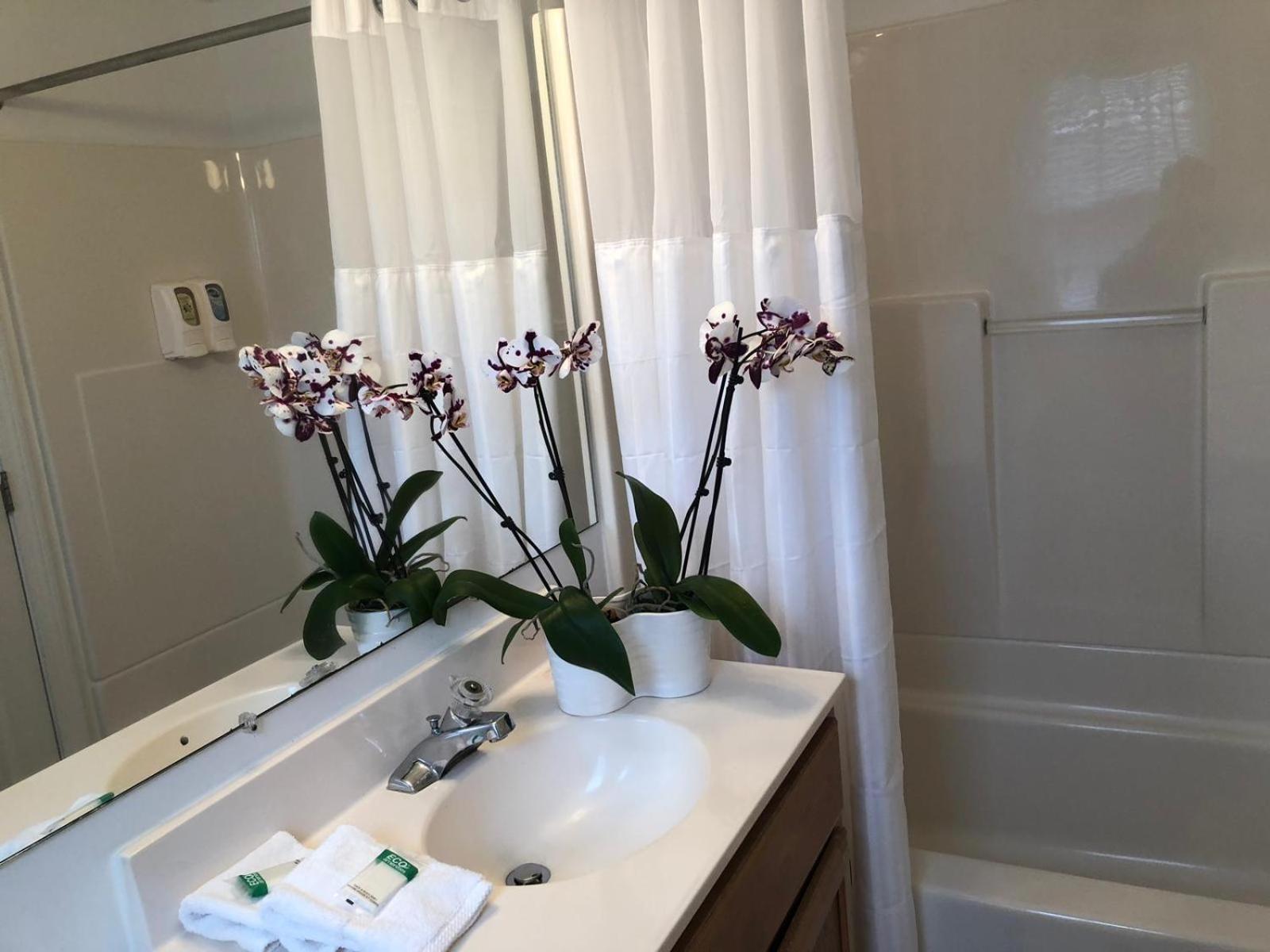 Hyannis Inn photo 22