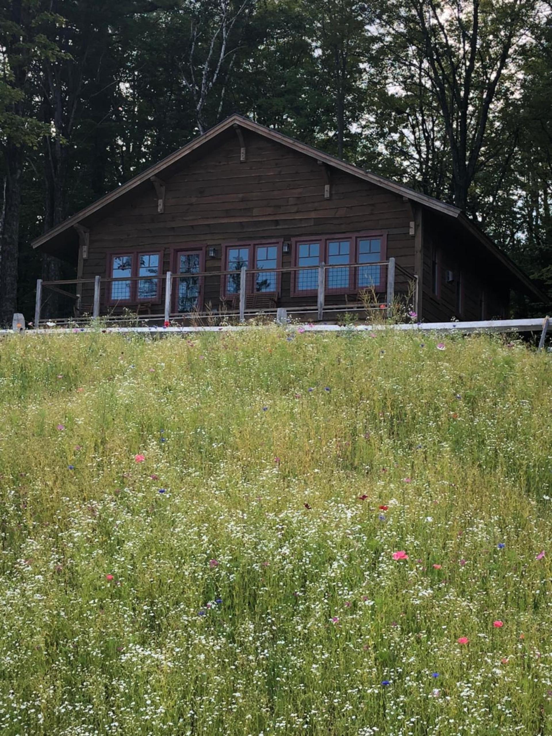 Seesaw's Lodge photo 2