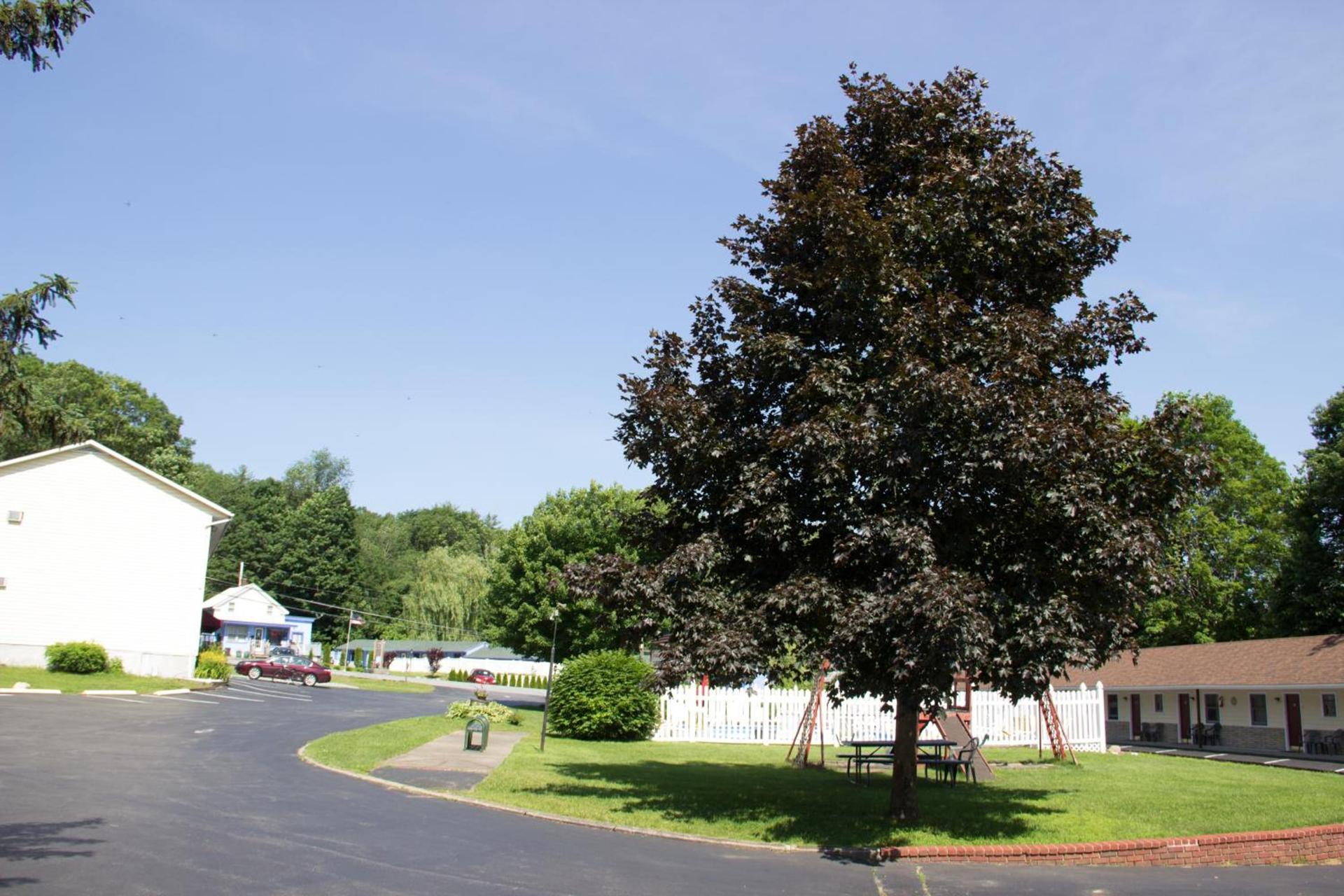Fran Cove Motel photo 9