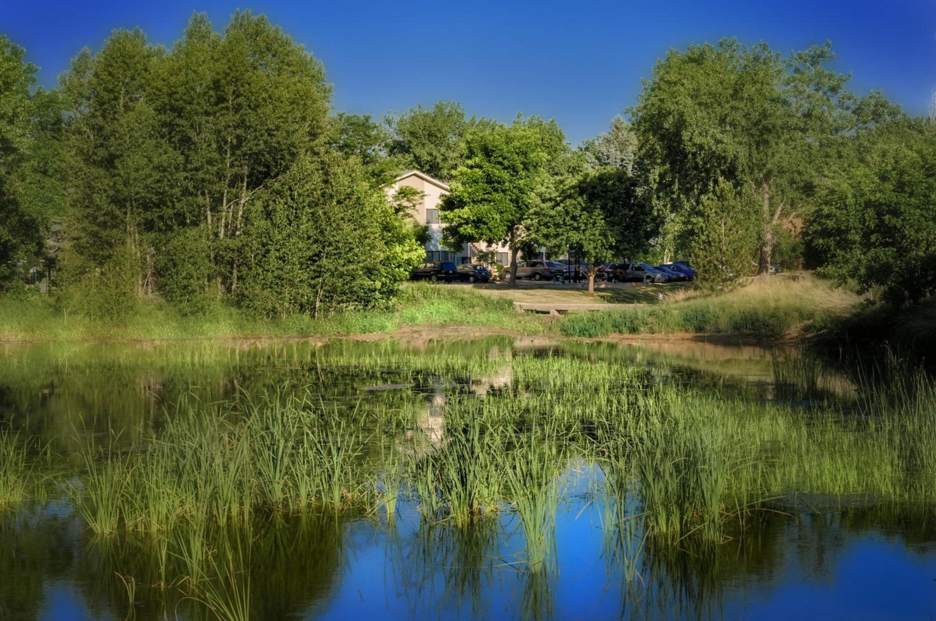 Boulder Twin Lakes Inn photo 8