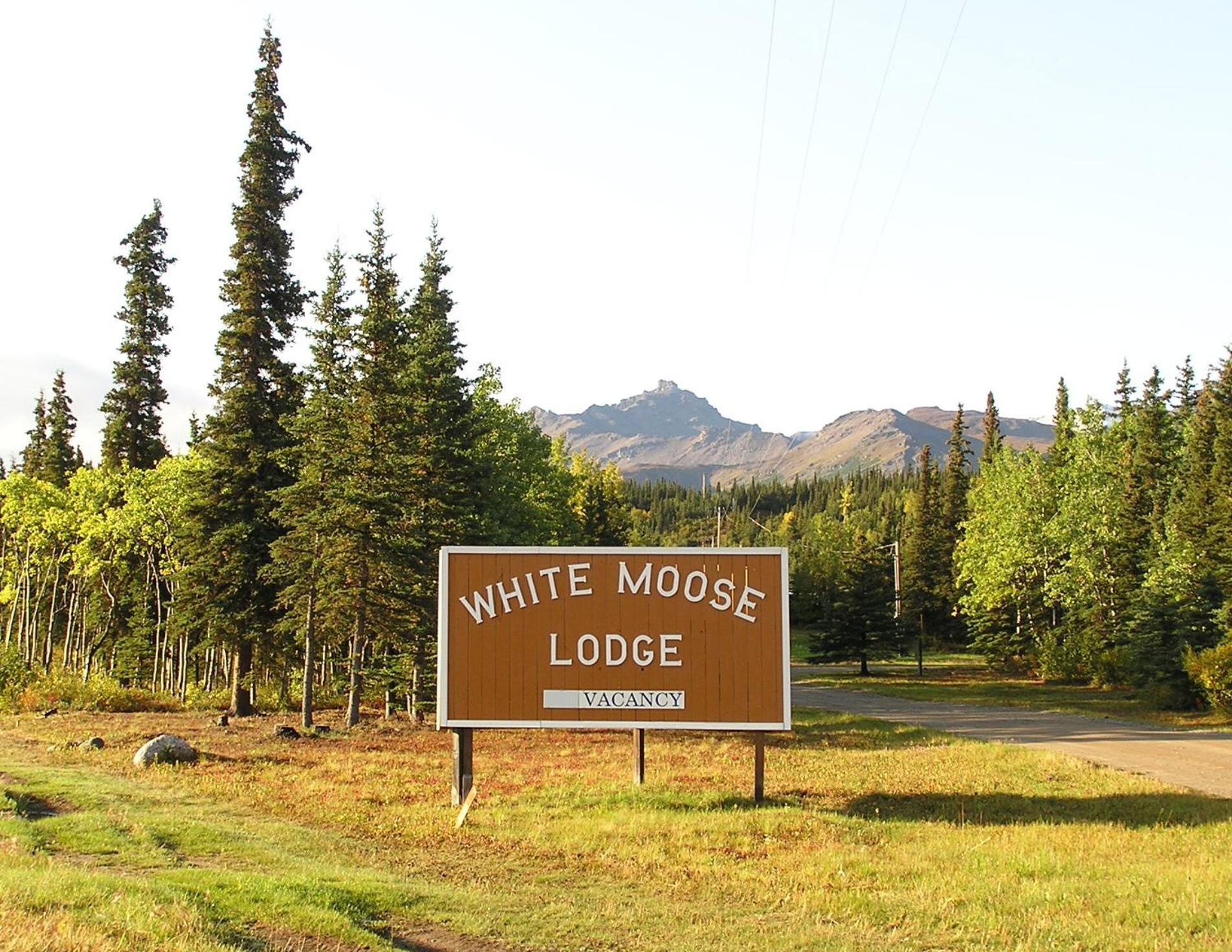 White Moose Lodge photo 12
