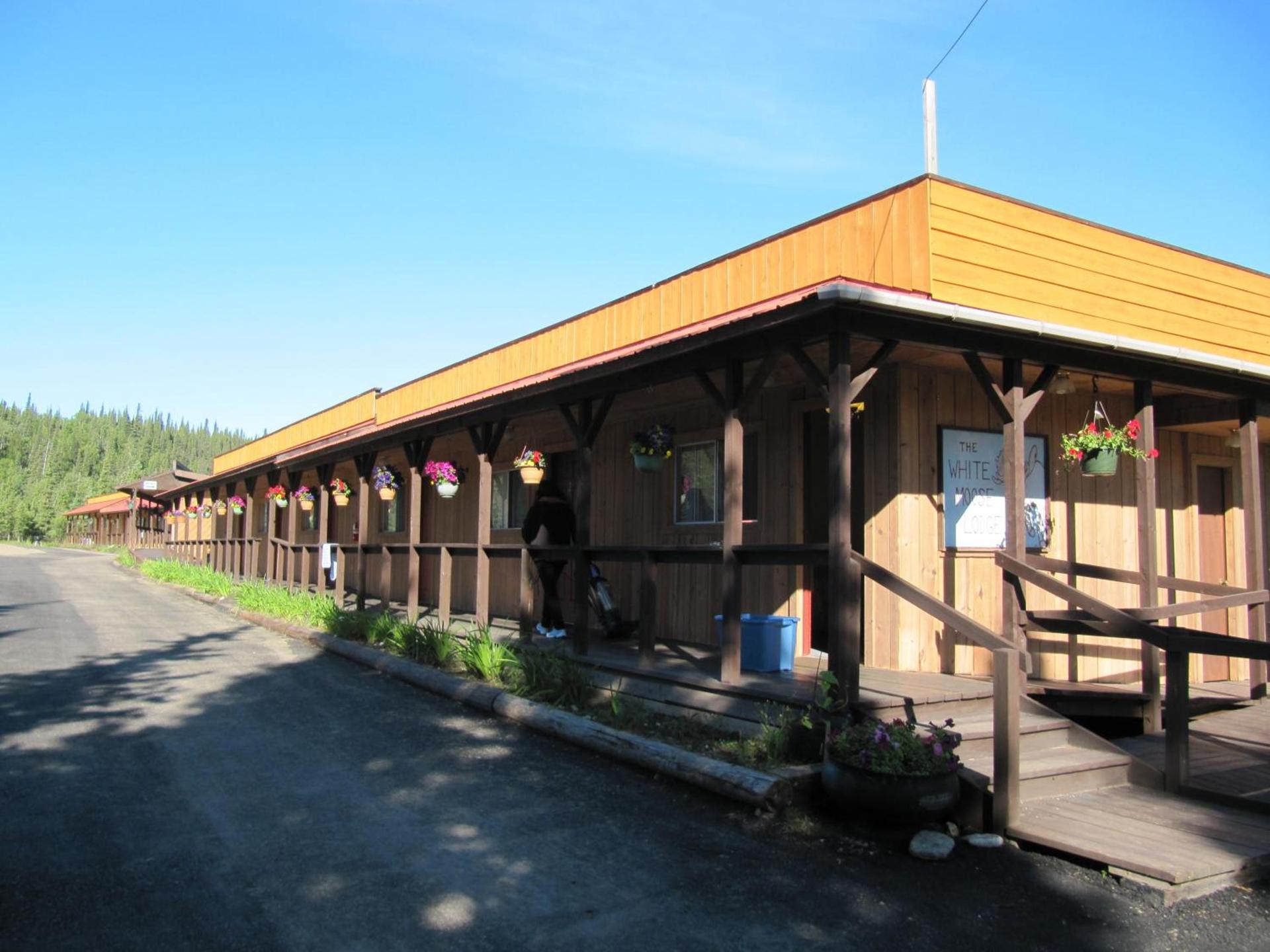 White Moose Lodge photo 9