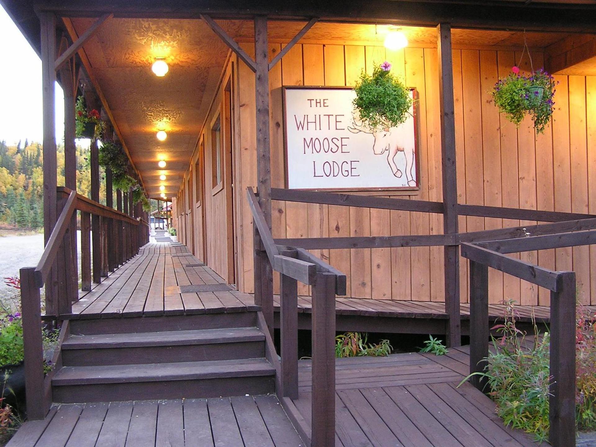 White Moose Lodge photo 8