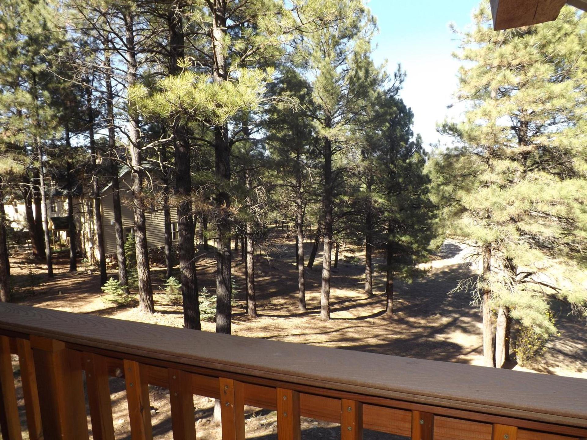 Arizona Mountain Inn & Cabins photo 6