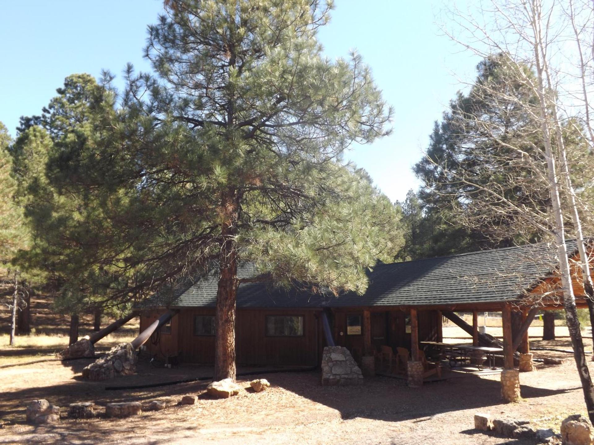 Arizona Mountain Inn & Cabins photo 4