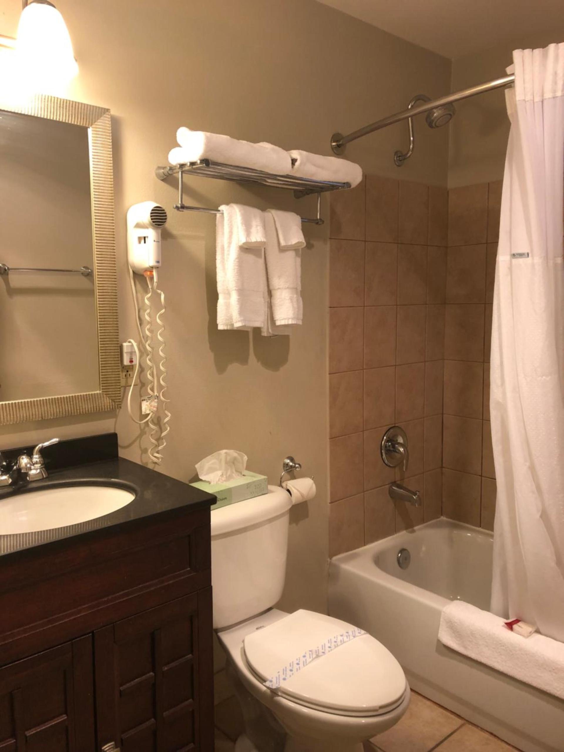 Global Inn photo 11