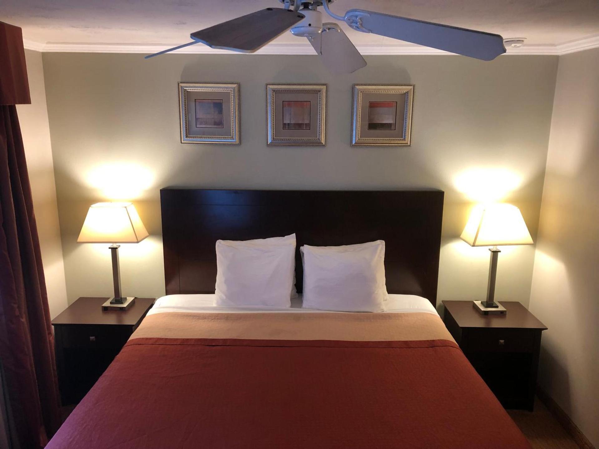 Global Inn photo 14