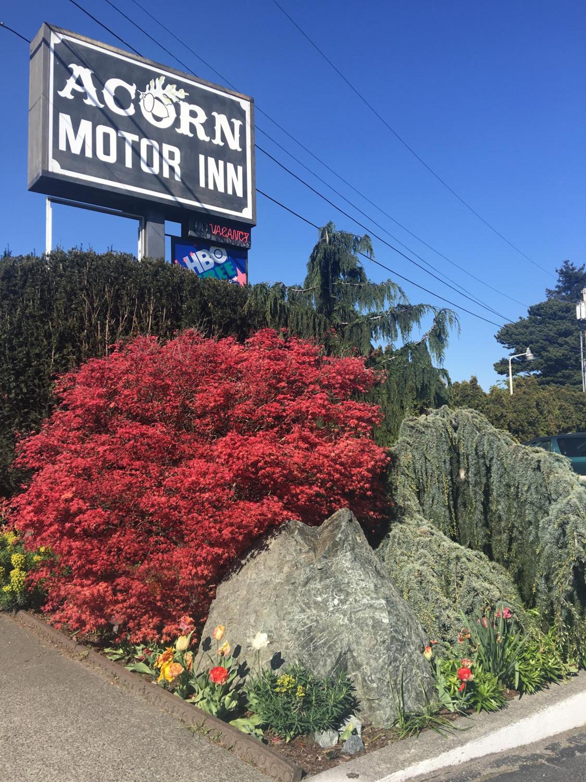 Acorn Motor Inn — hotel in Oak Harbor