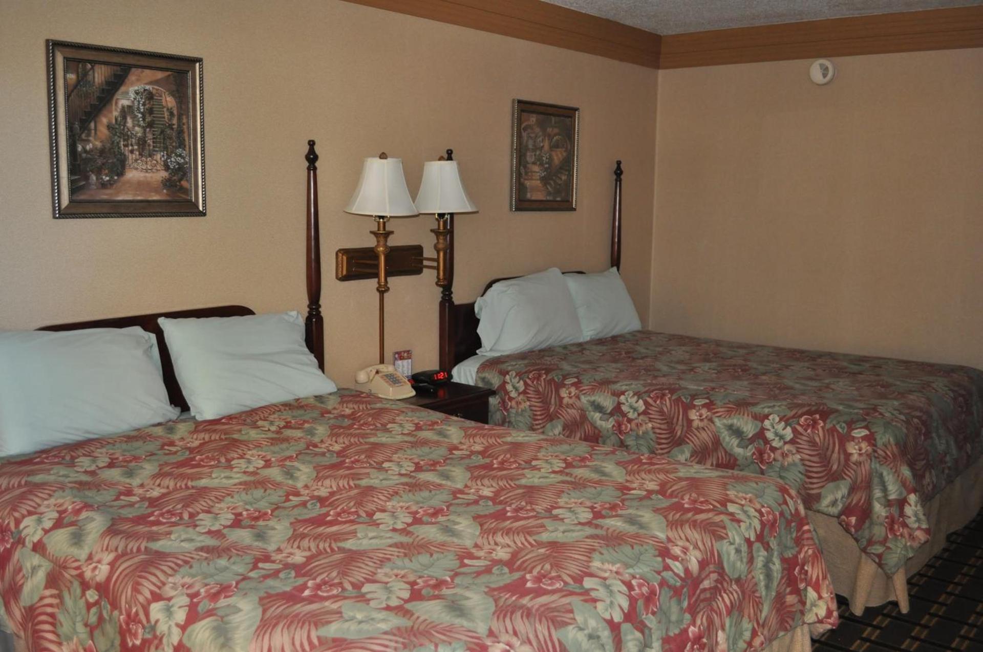 Executive Inn, Springdale photo 17