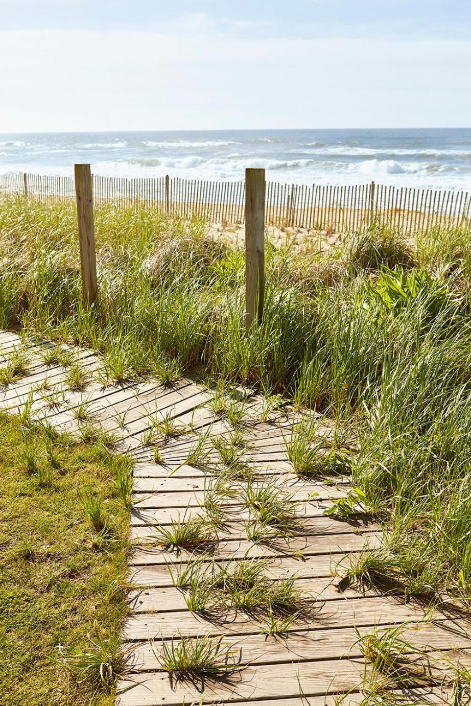 Marram photo 7