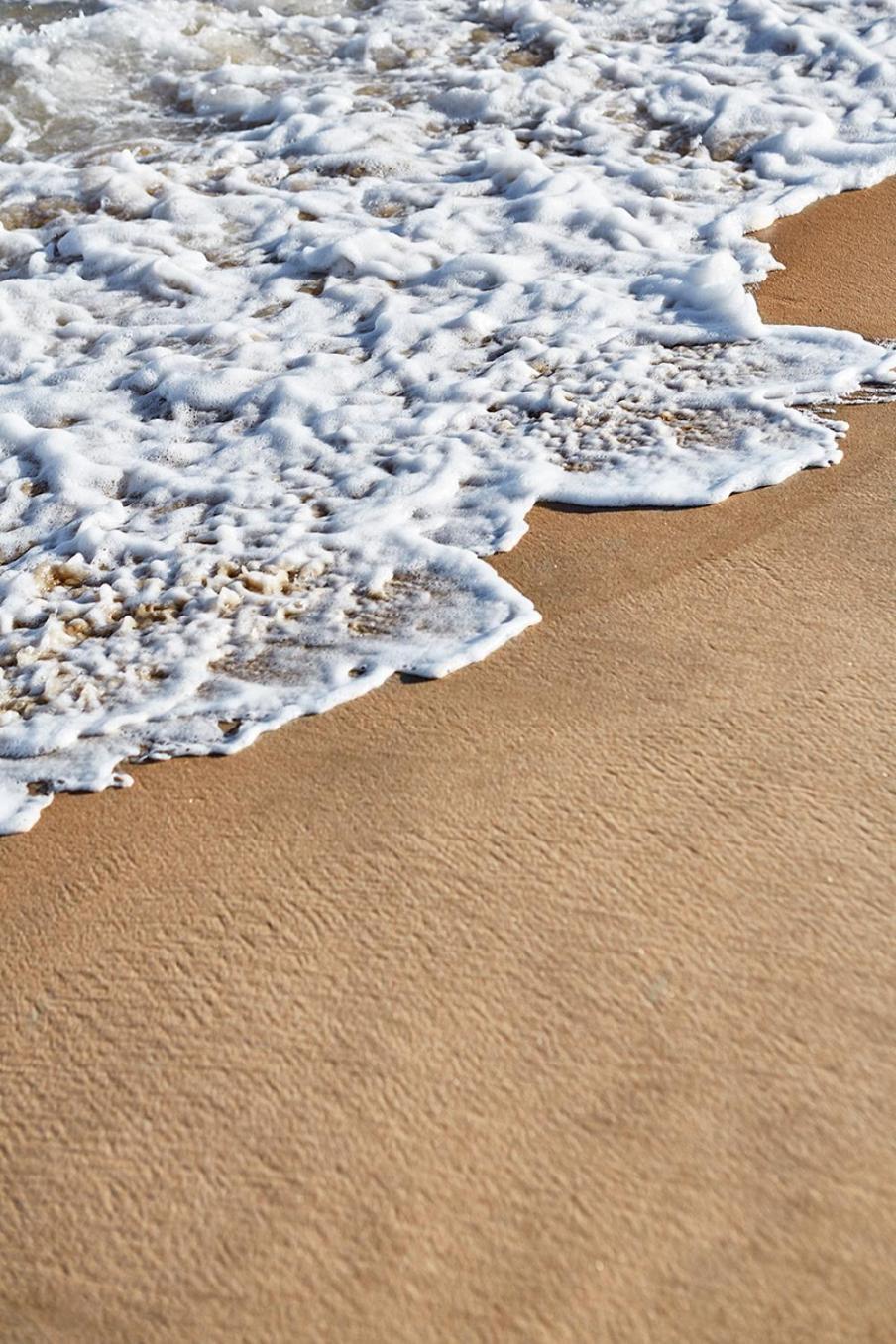 Marram photo 6